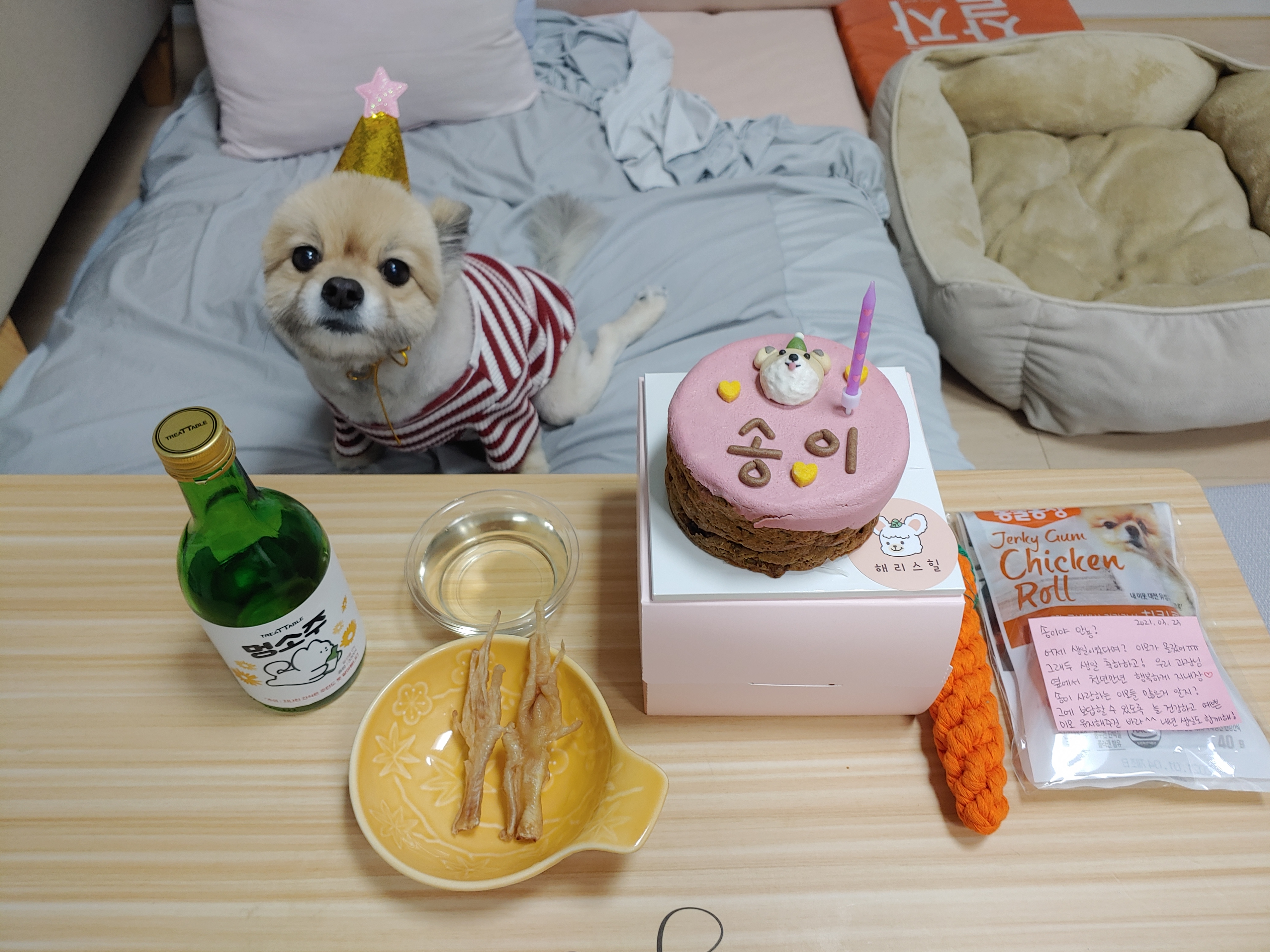 천송이와 함께한 1년 