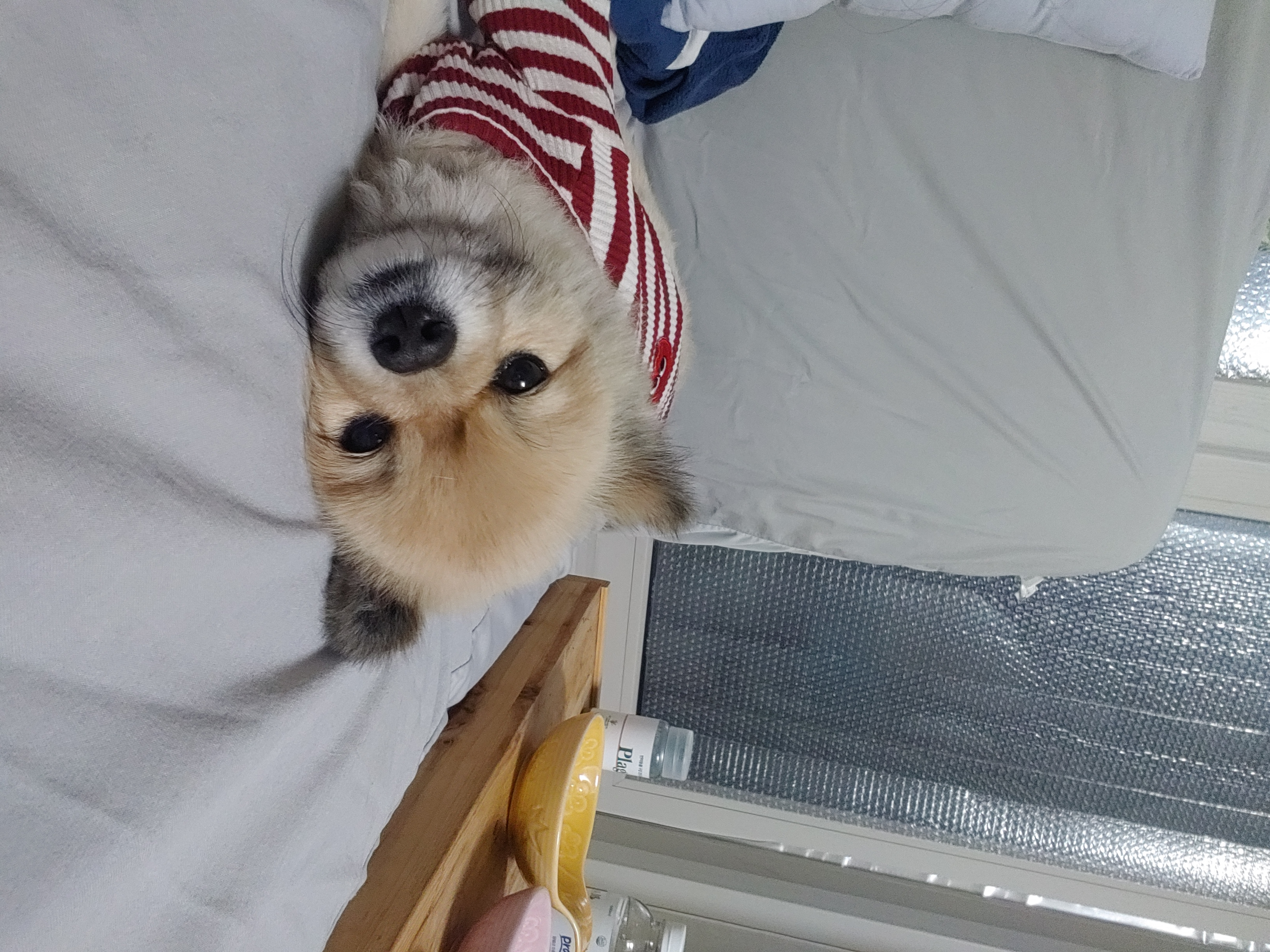 천송이와 함께한 1년 