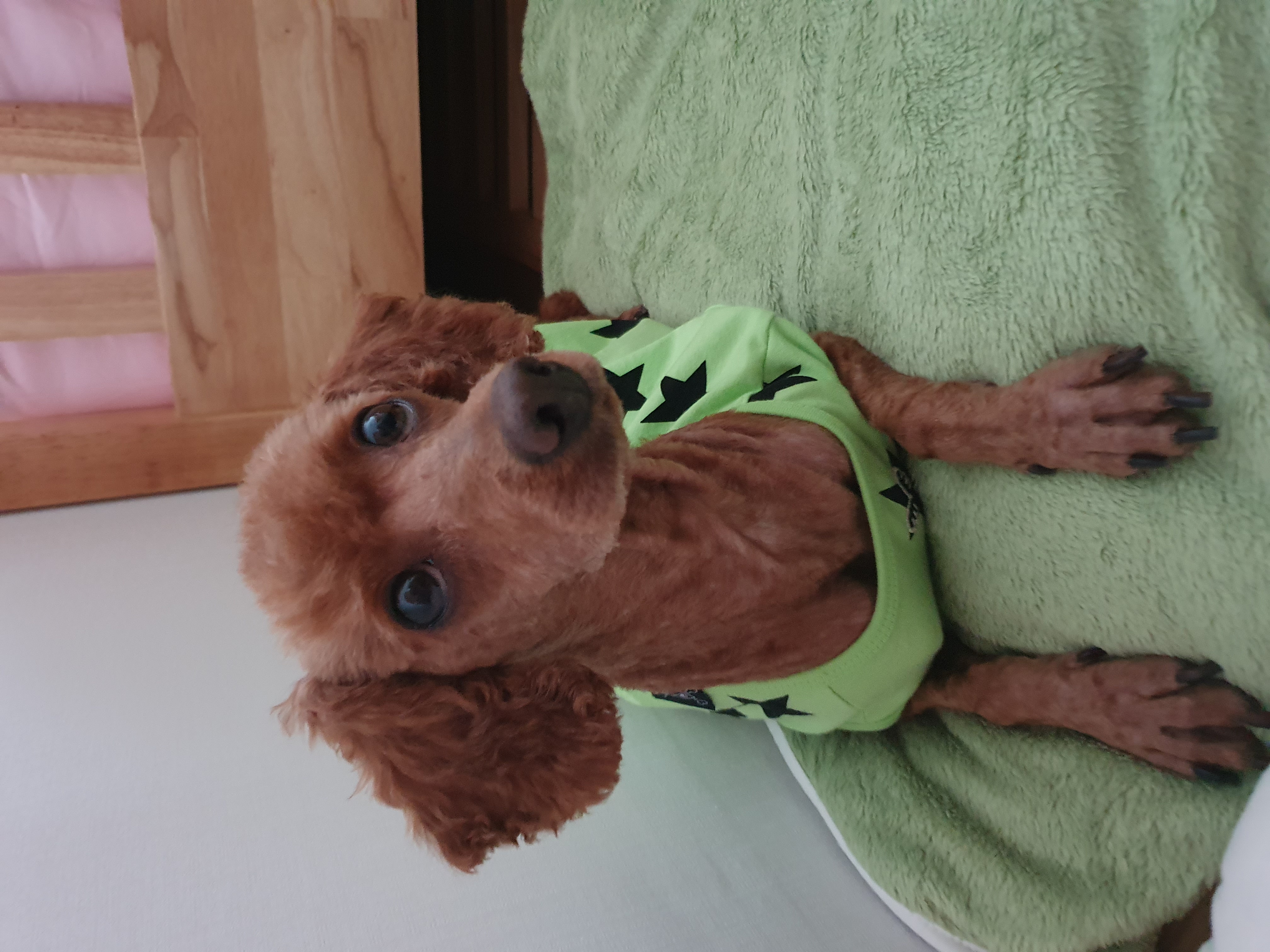 곤지암 앙금이(쿠키) 3개월째  이야기가 늦었어요ㅜ.ㅜ