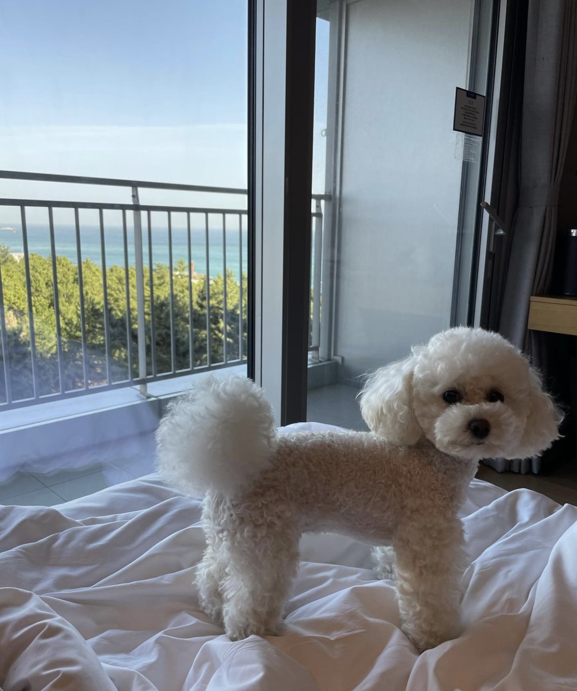 두리와 함께한지 1년이에요!(구 사랑이)