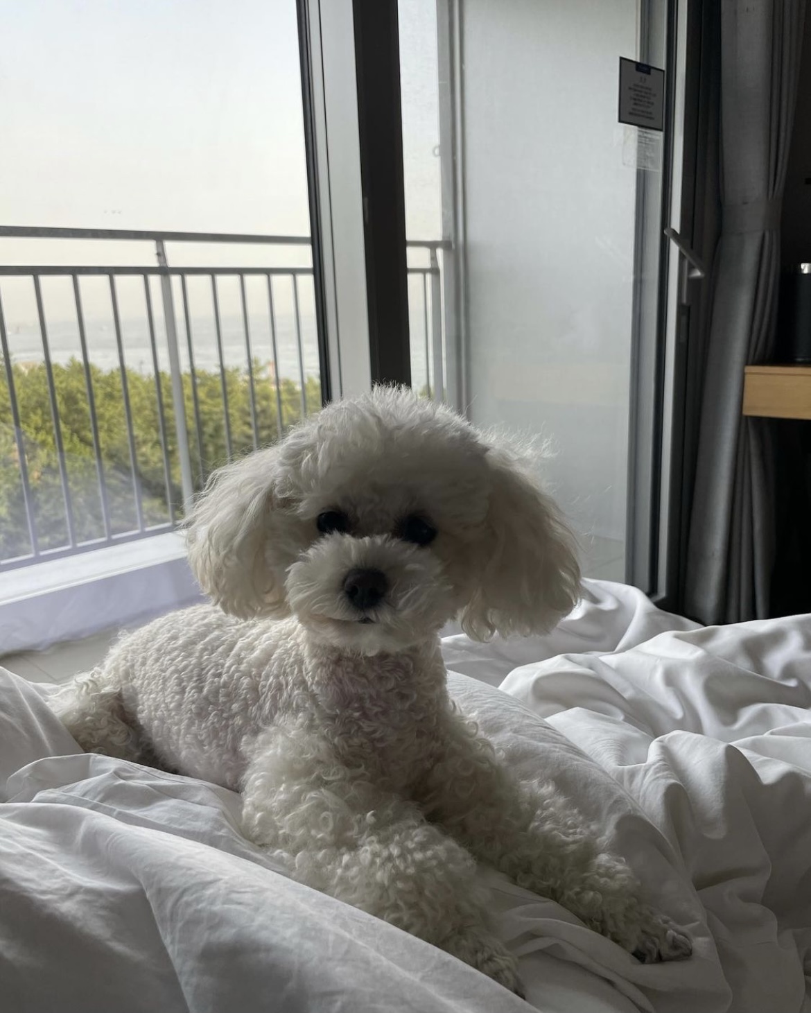 두리와 함께한지 1년이에요!(구 사랑이)