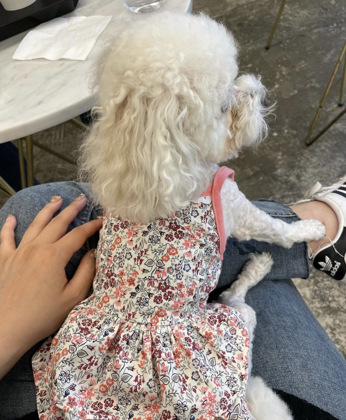 두리와 함께한지 1년이에요!(구 사랑이)