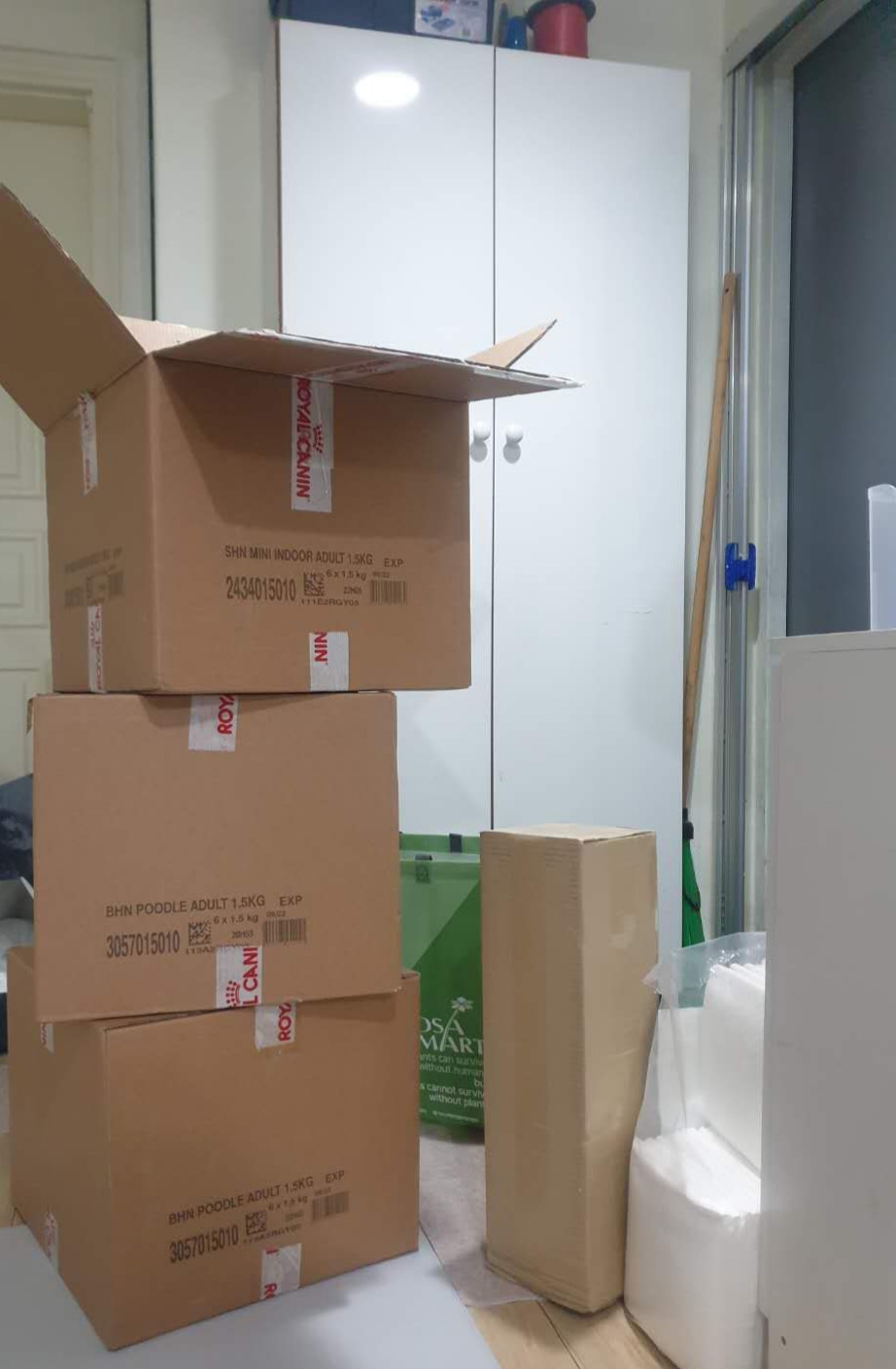 봄이 한달 입양 후기