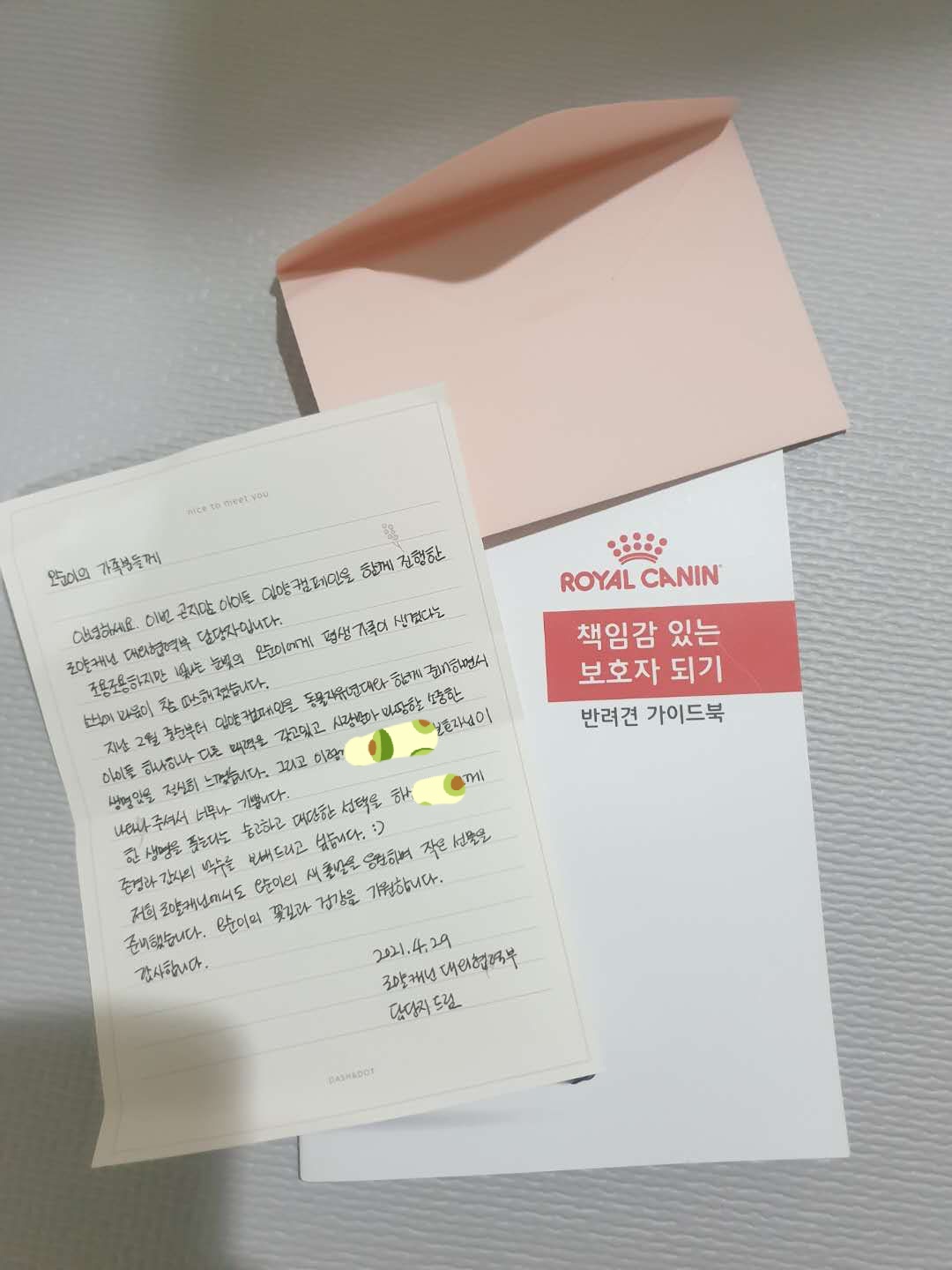 봄이 한달 입양 후기