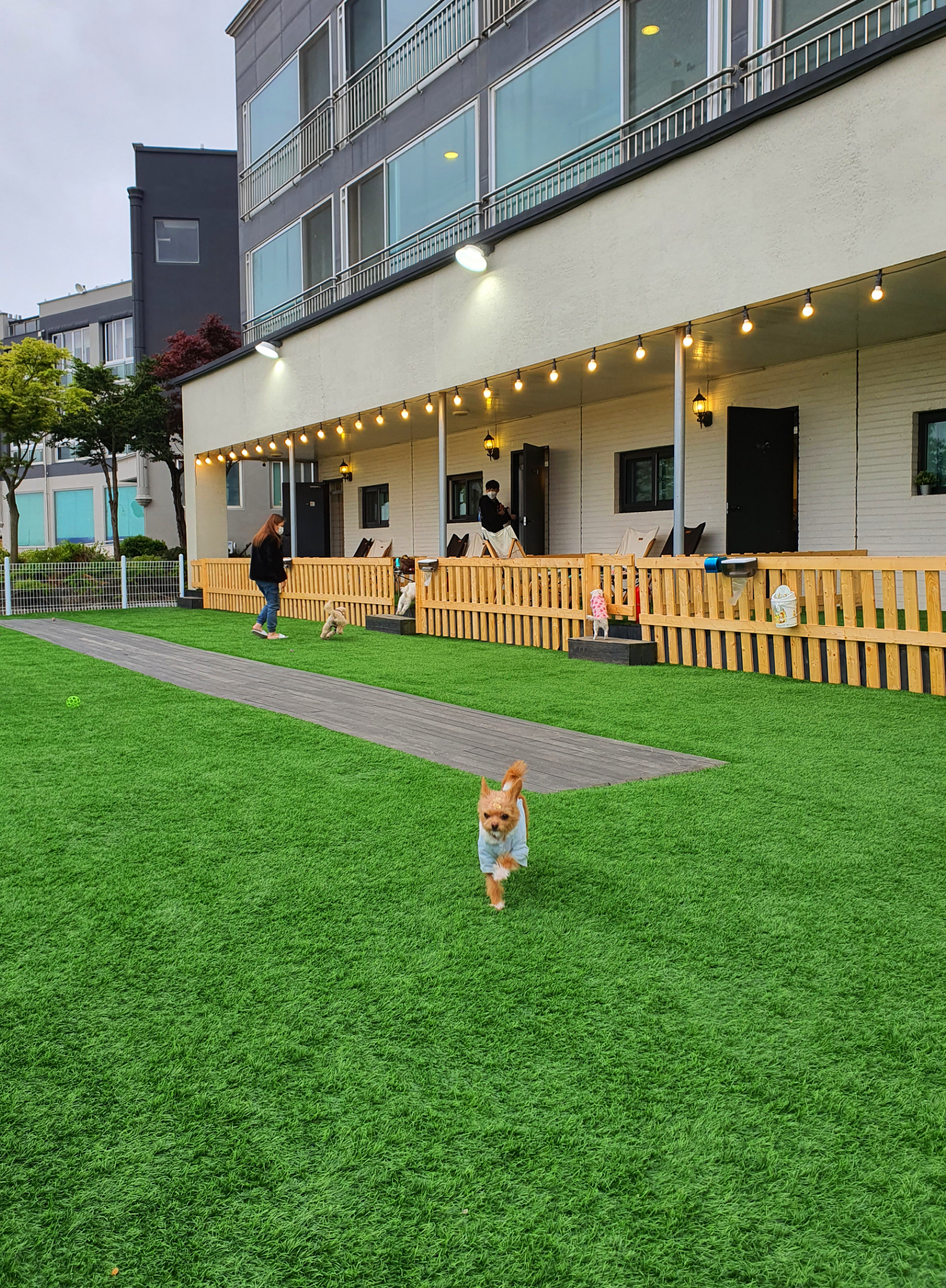 단추(뽀요) 1년❤