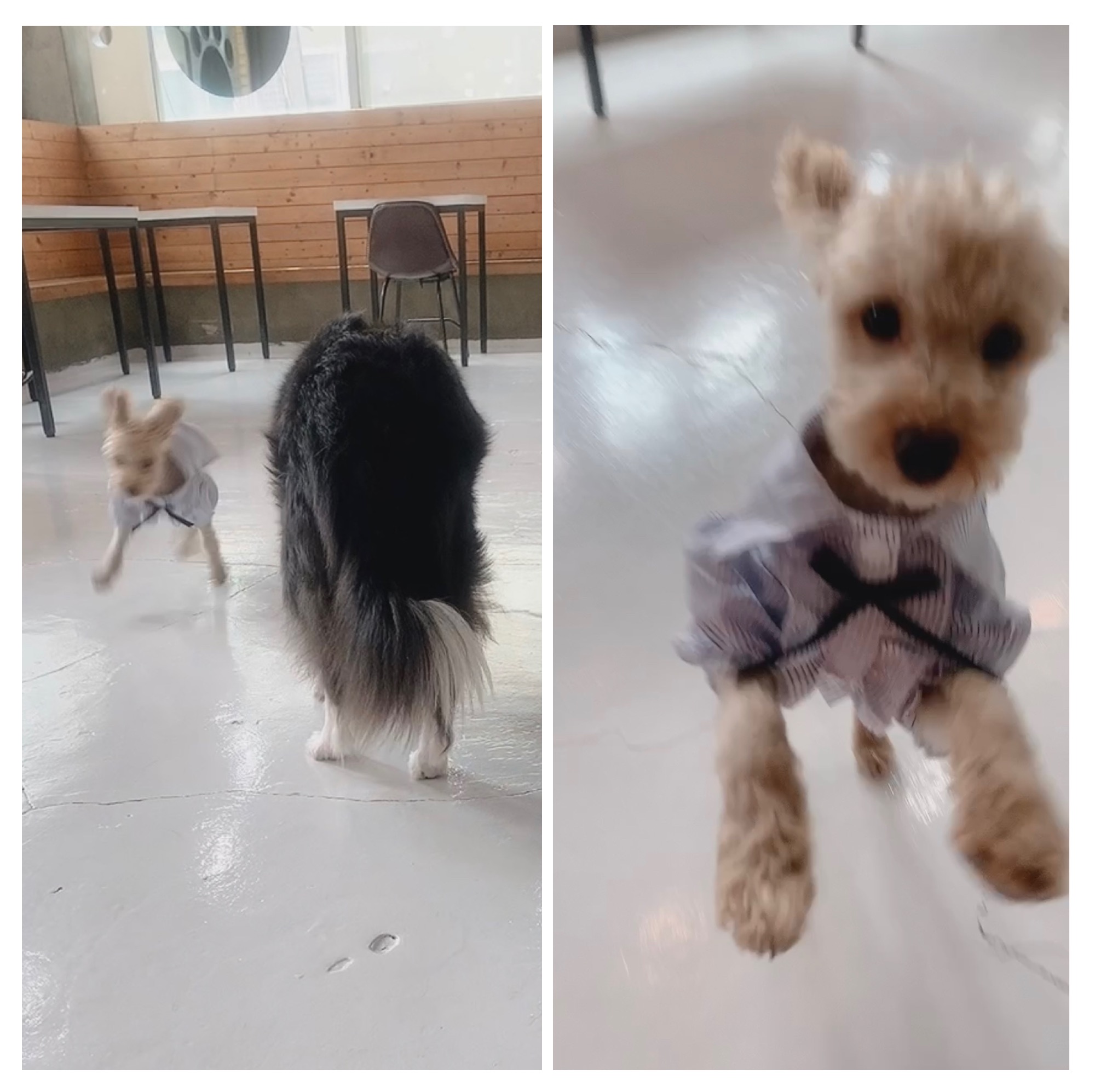 초이(곤지암-해삼) 육아 3개월의 기록