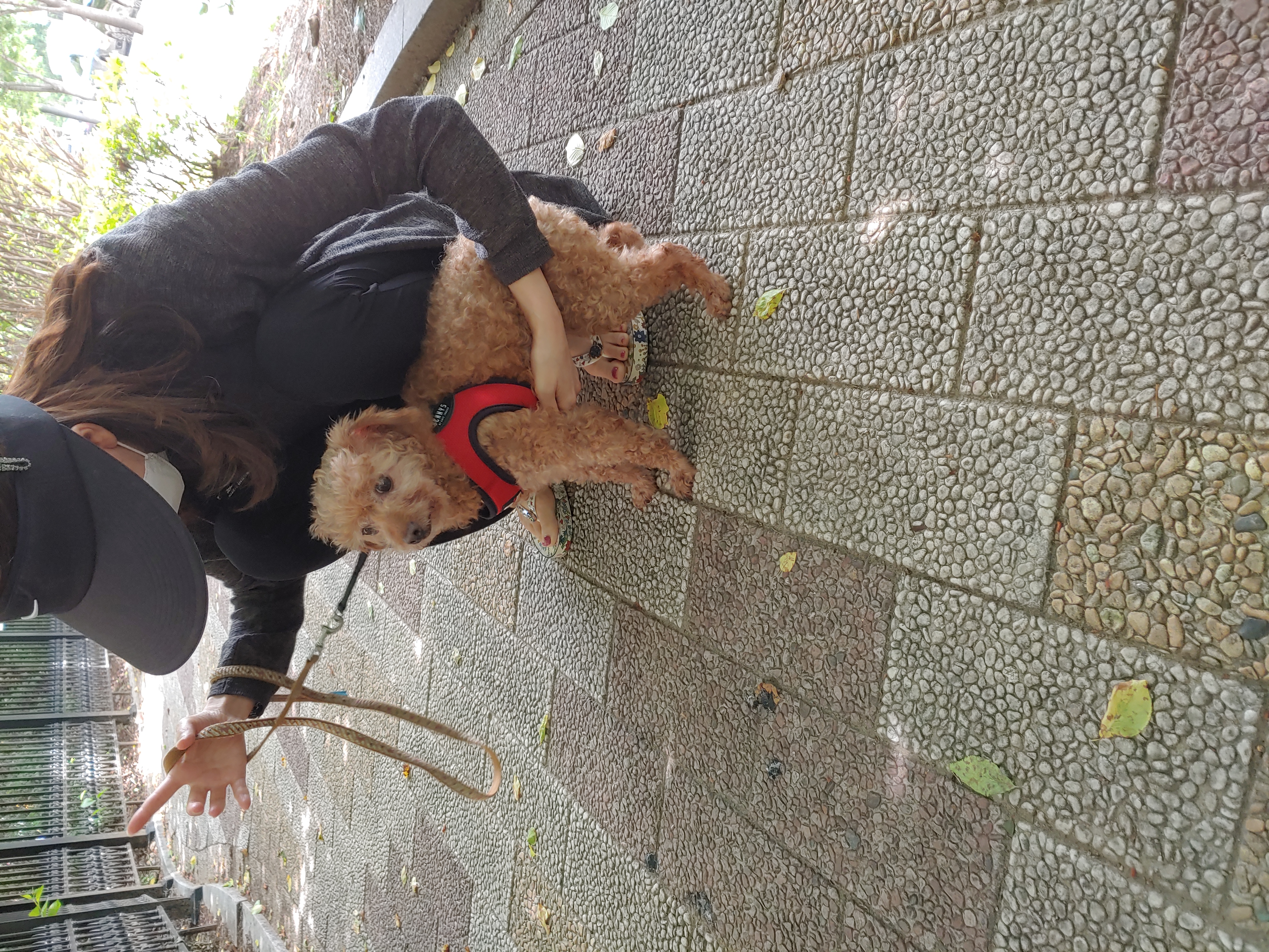 곤지암 팔랑이~~(지금은 버디^^)