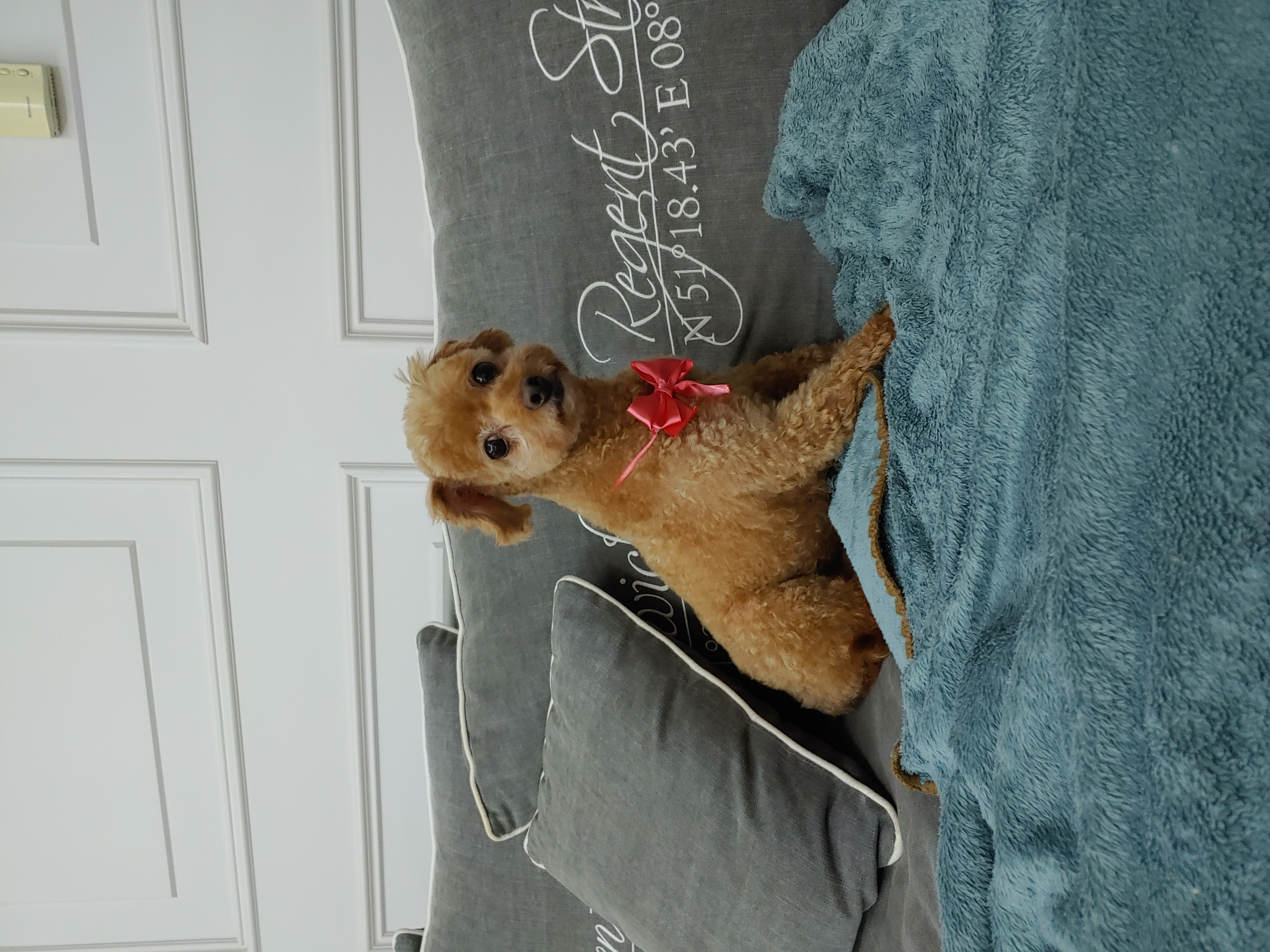 곤지암 팔랑이~~(지금은 버디^^)