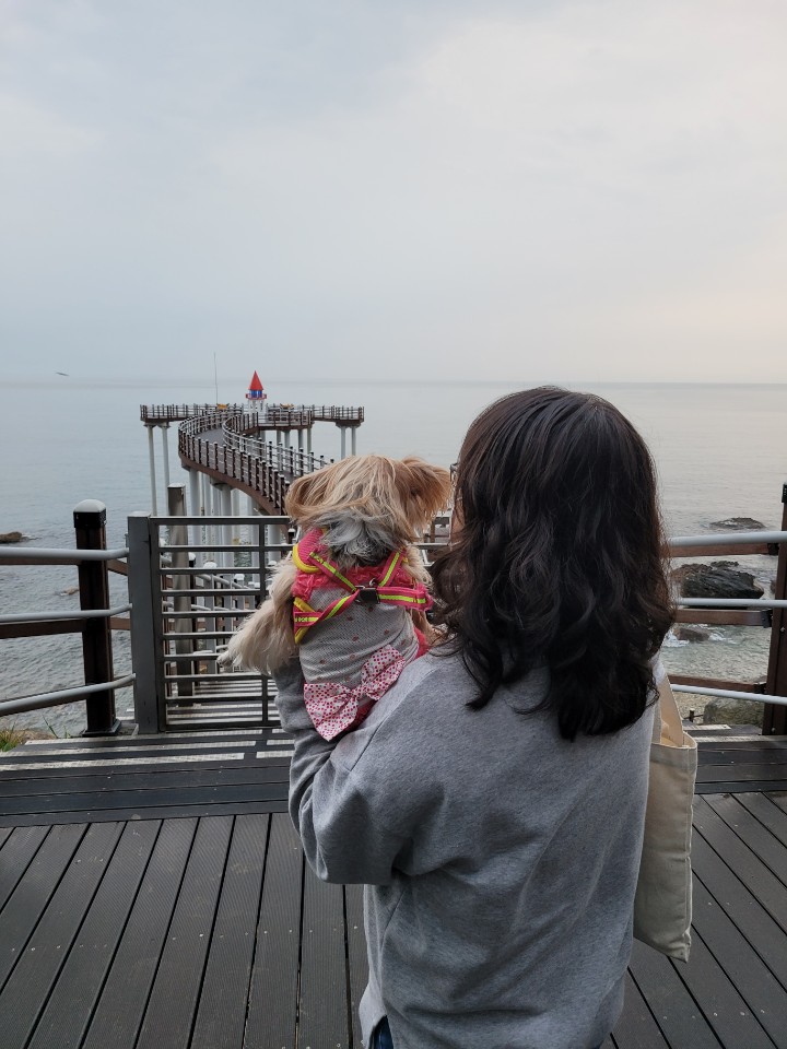 요조와 832일째 *^___^*