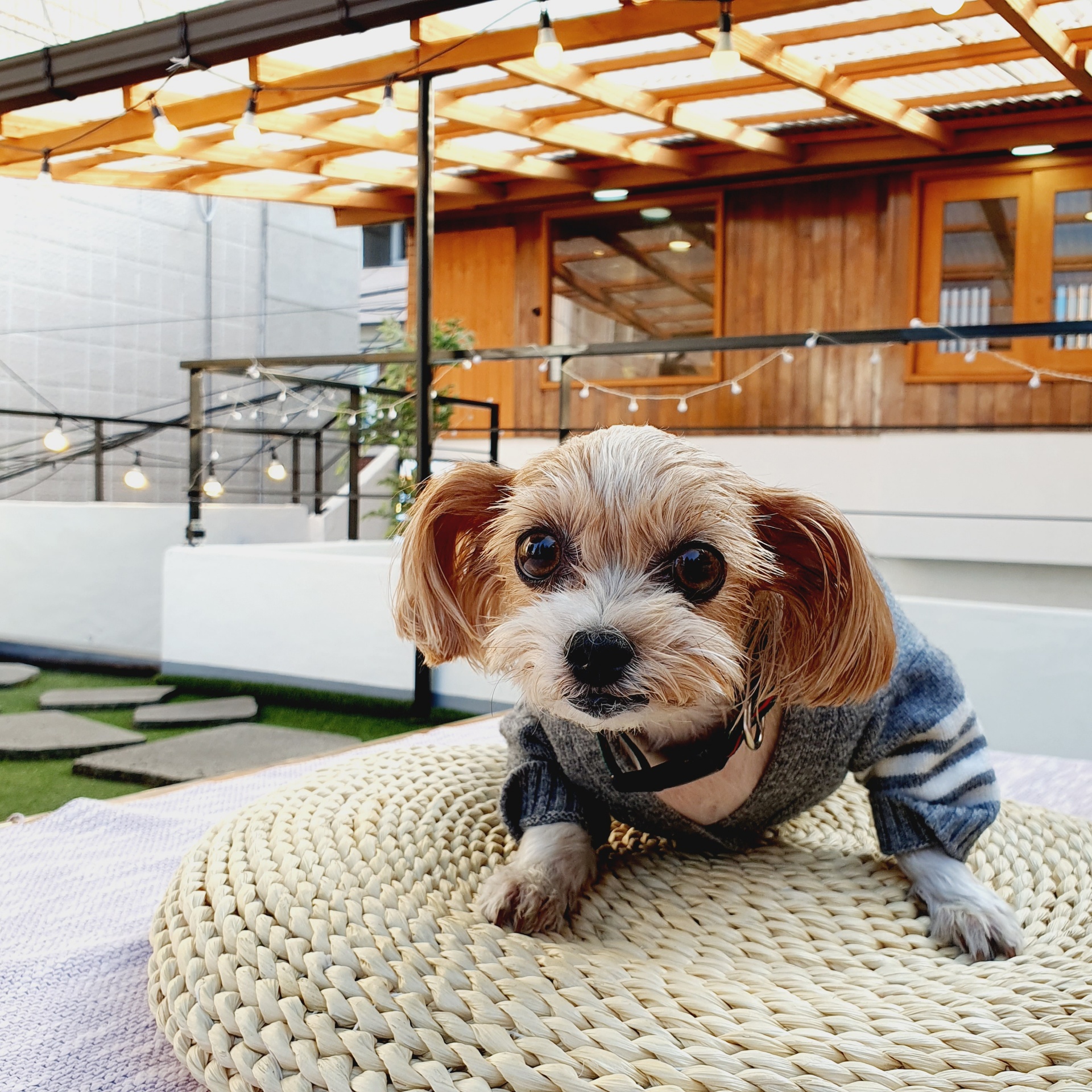 요조와 832일째 *^___^*