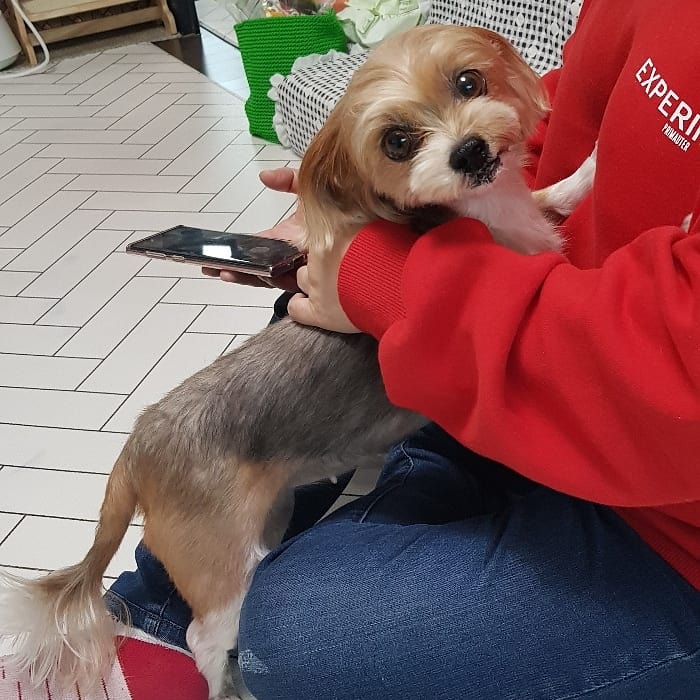 요조와 832일째 *^___^*