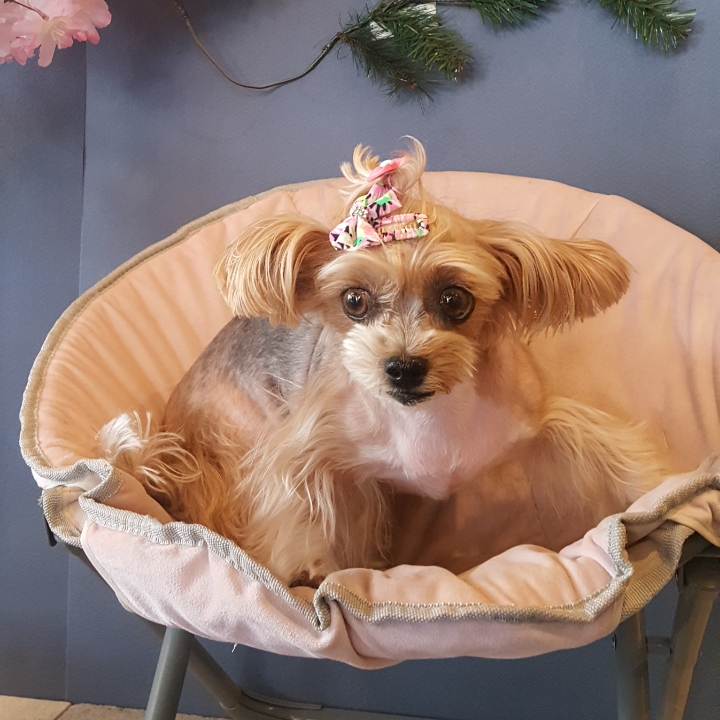 요조와 832일째 *^___^*