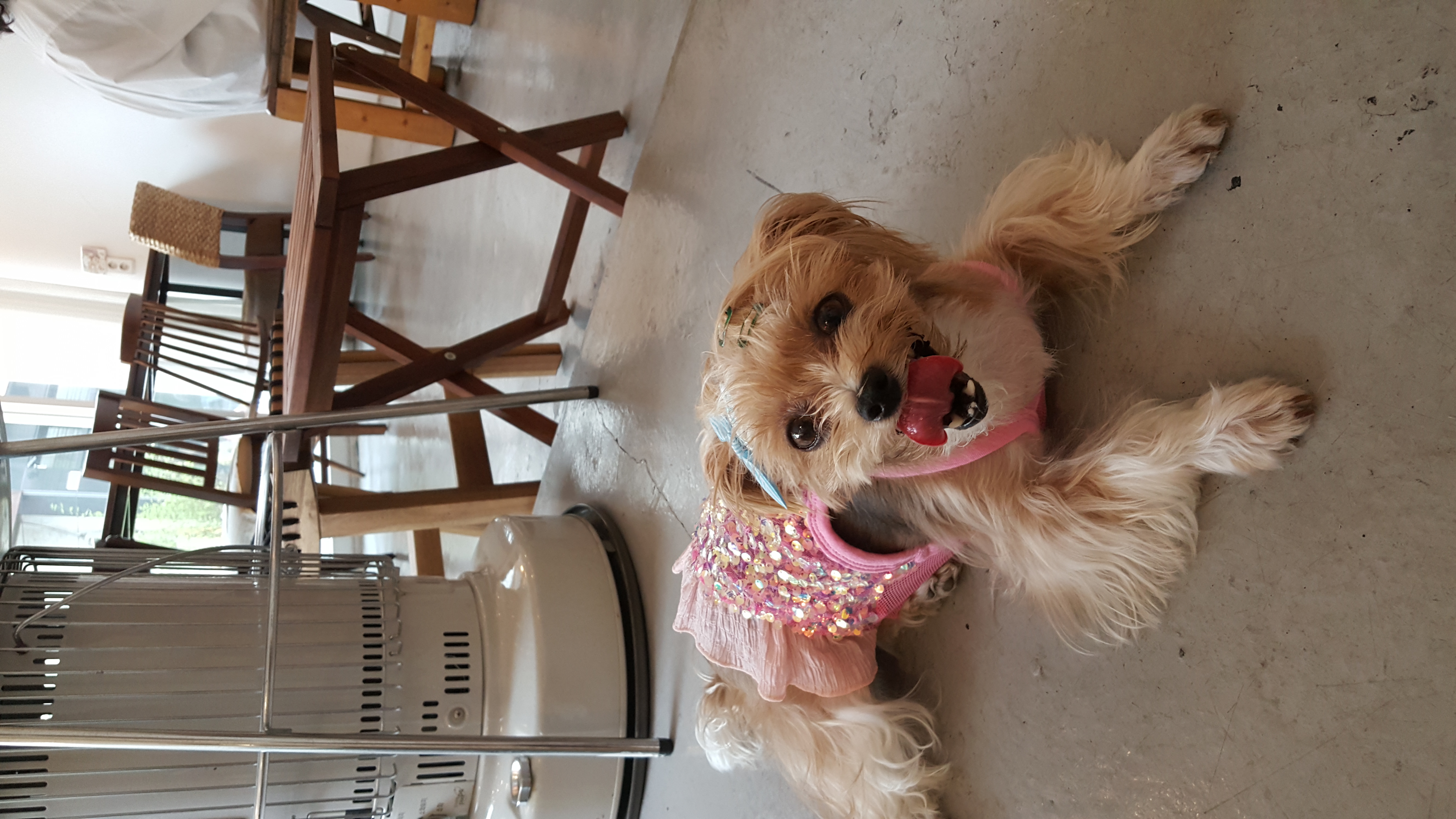 요조와 832일째 *^___^*