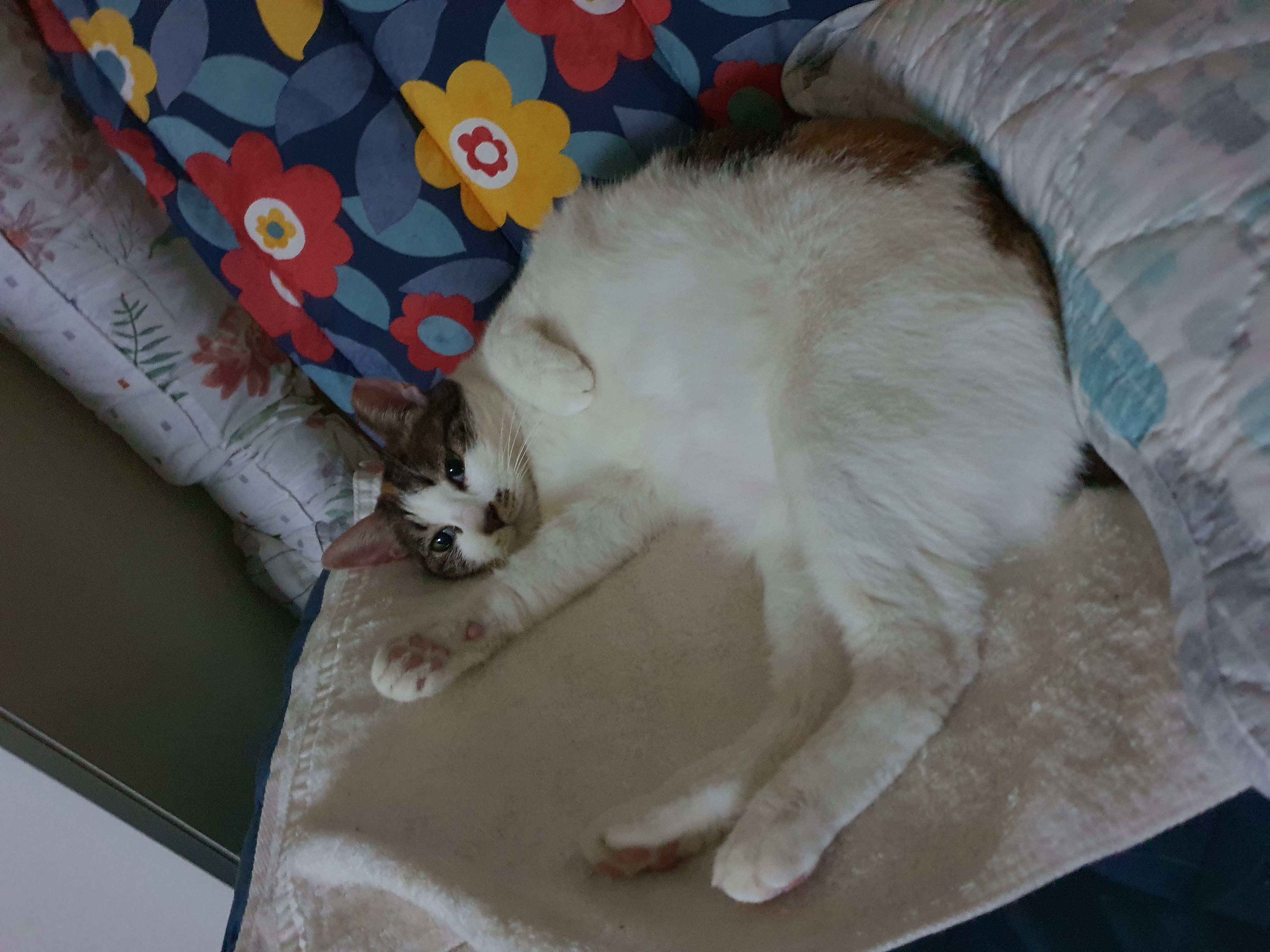 기억하셔요?  루비예요^^