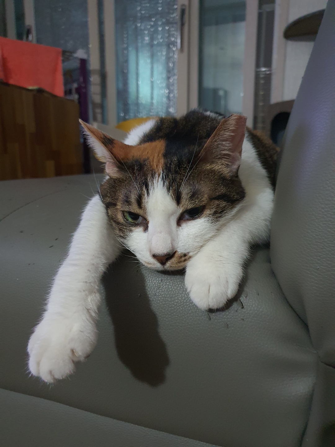 기억하셔요?  루비예요^^