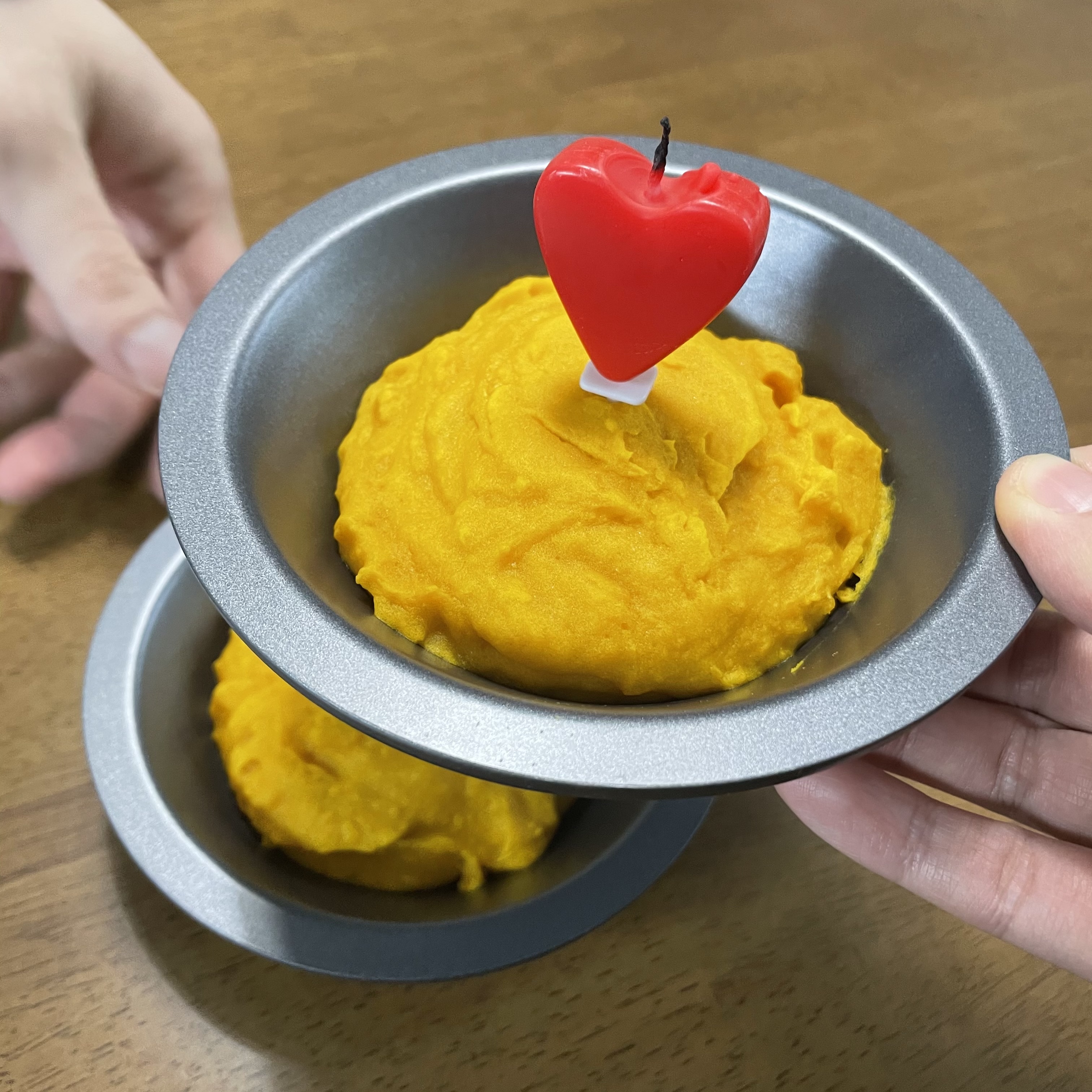 몽실(카롱), 덕구(나랑) 입양 2주년+4개월