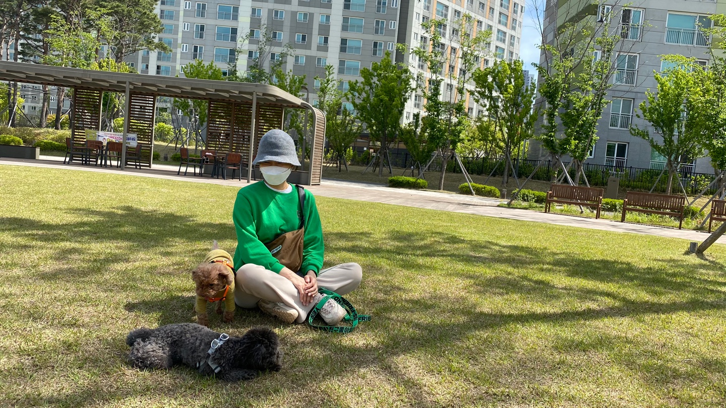 단풍이(니모) 오랜만에 소식올려요. (벌써 2년되었네요)