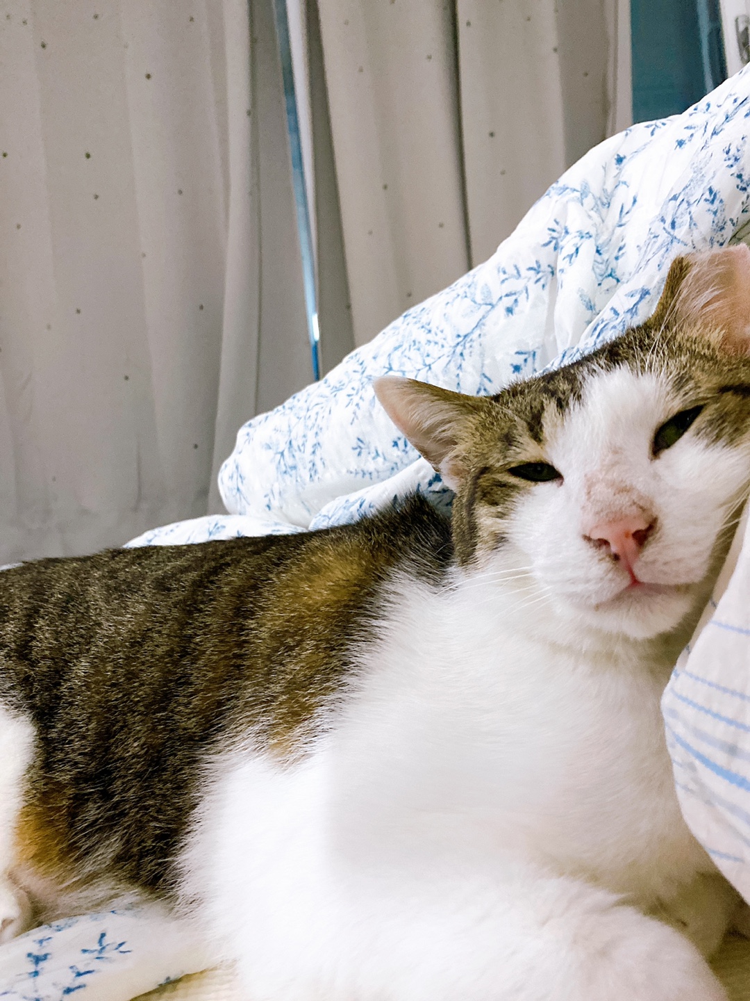 아띠와 함께 한달이~!!