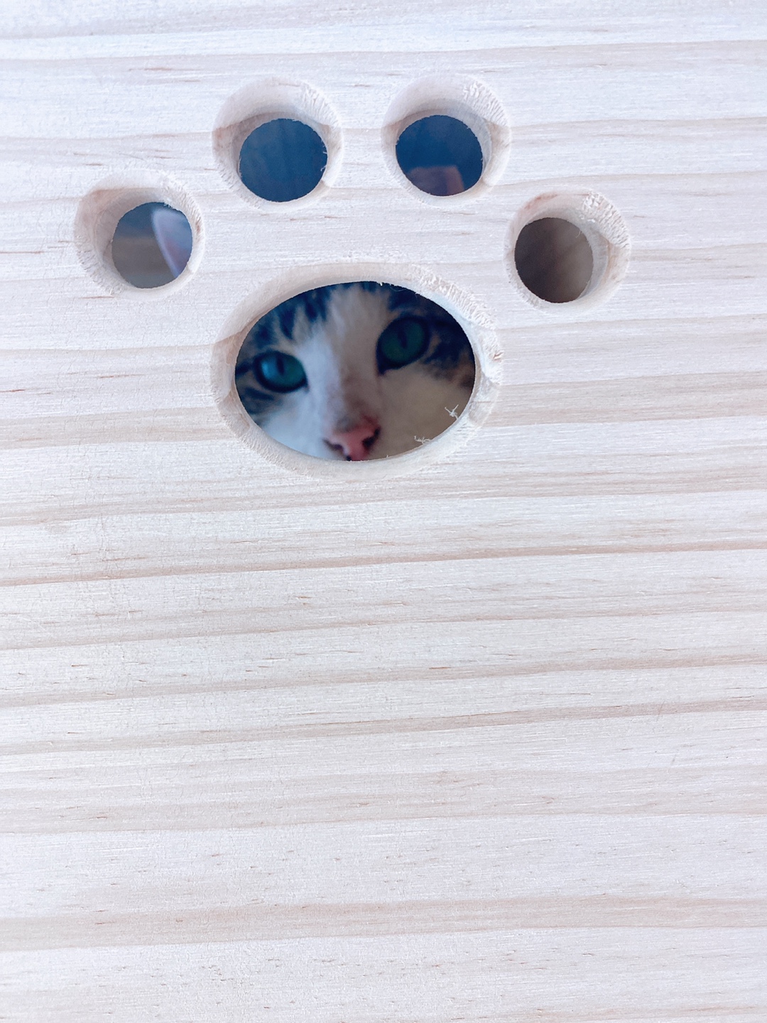 아띠와 함께 한달이~!!