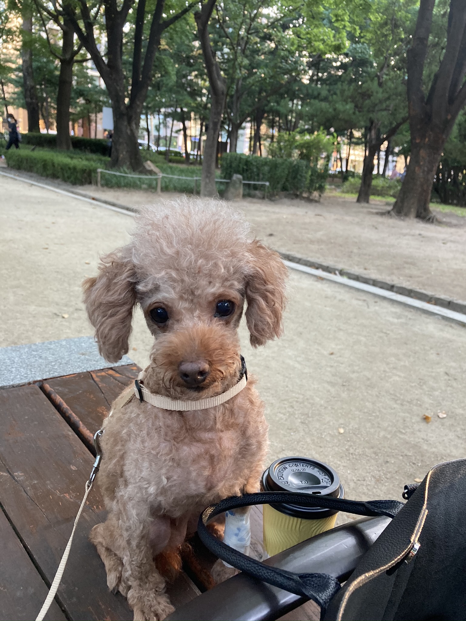 영천 메가톤 일년 인사 드립니다^^