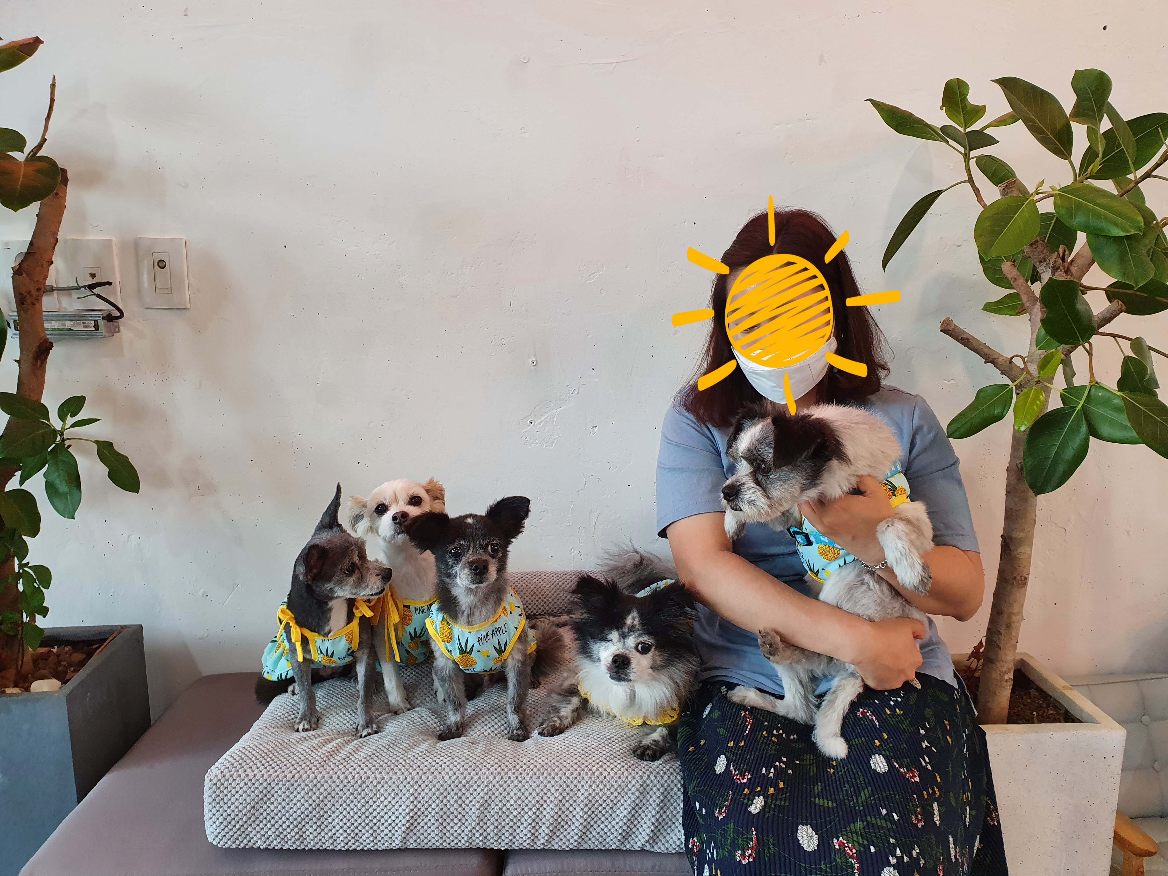 꿈이(금이)의 입양 1년 후기입니다아~