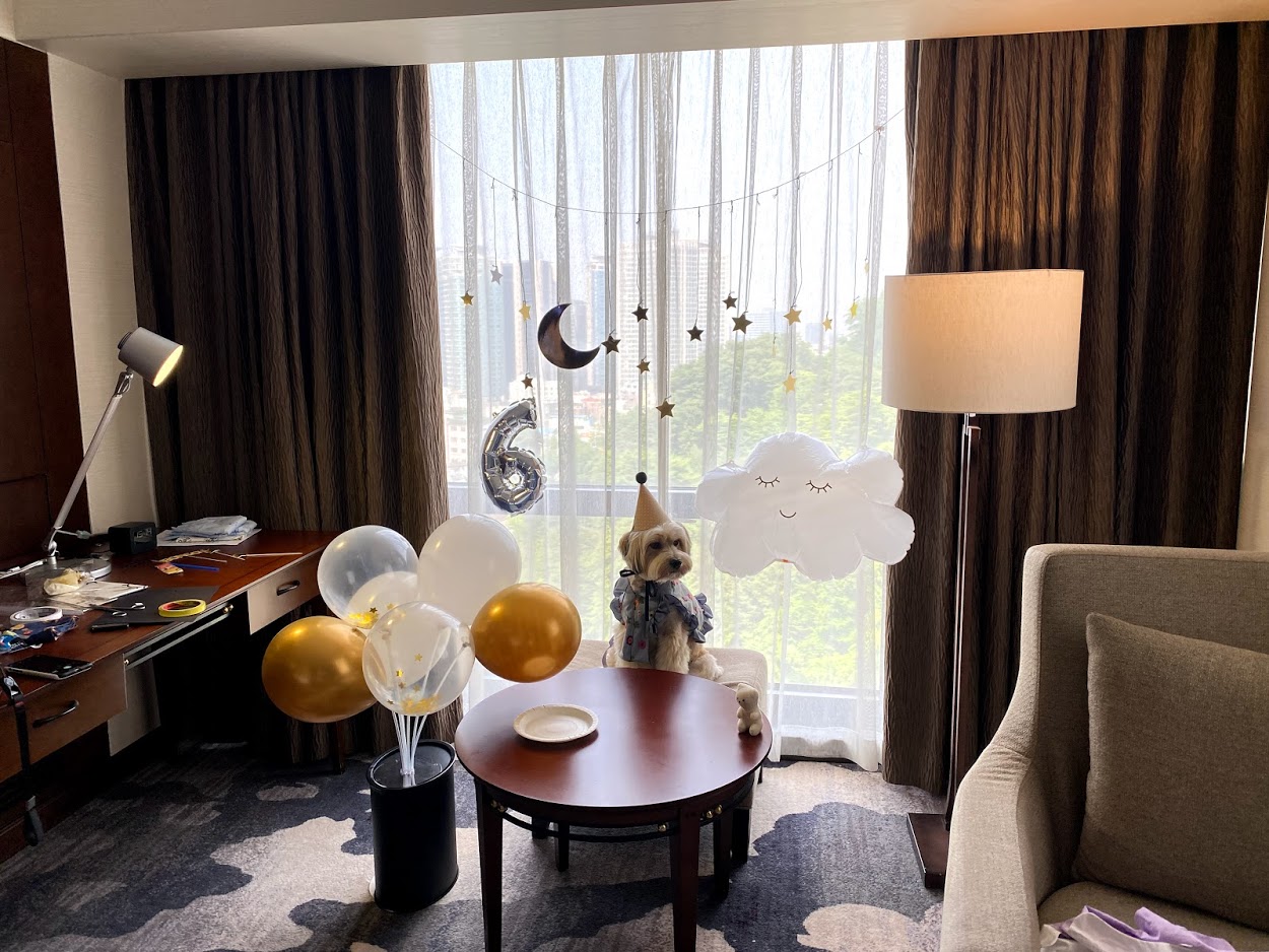 봉구 6살 생일 파티 ~ ^^