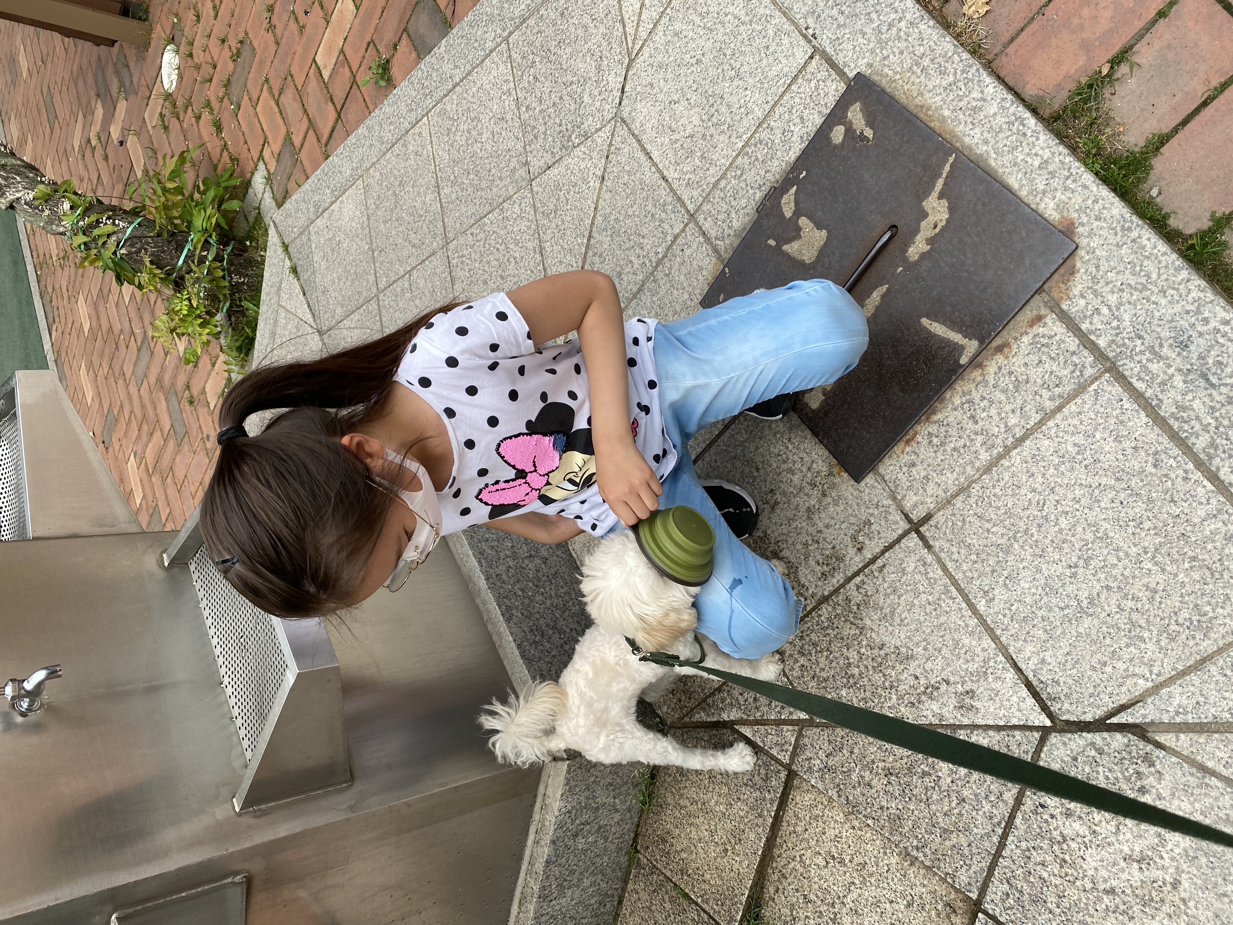 심쿵이 3개월 입양 후기 입니다_(구)연지