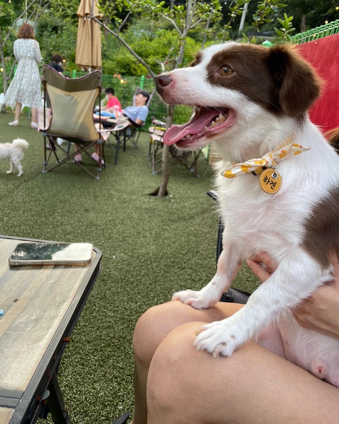 하겐이 소식 전해용