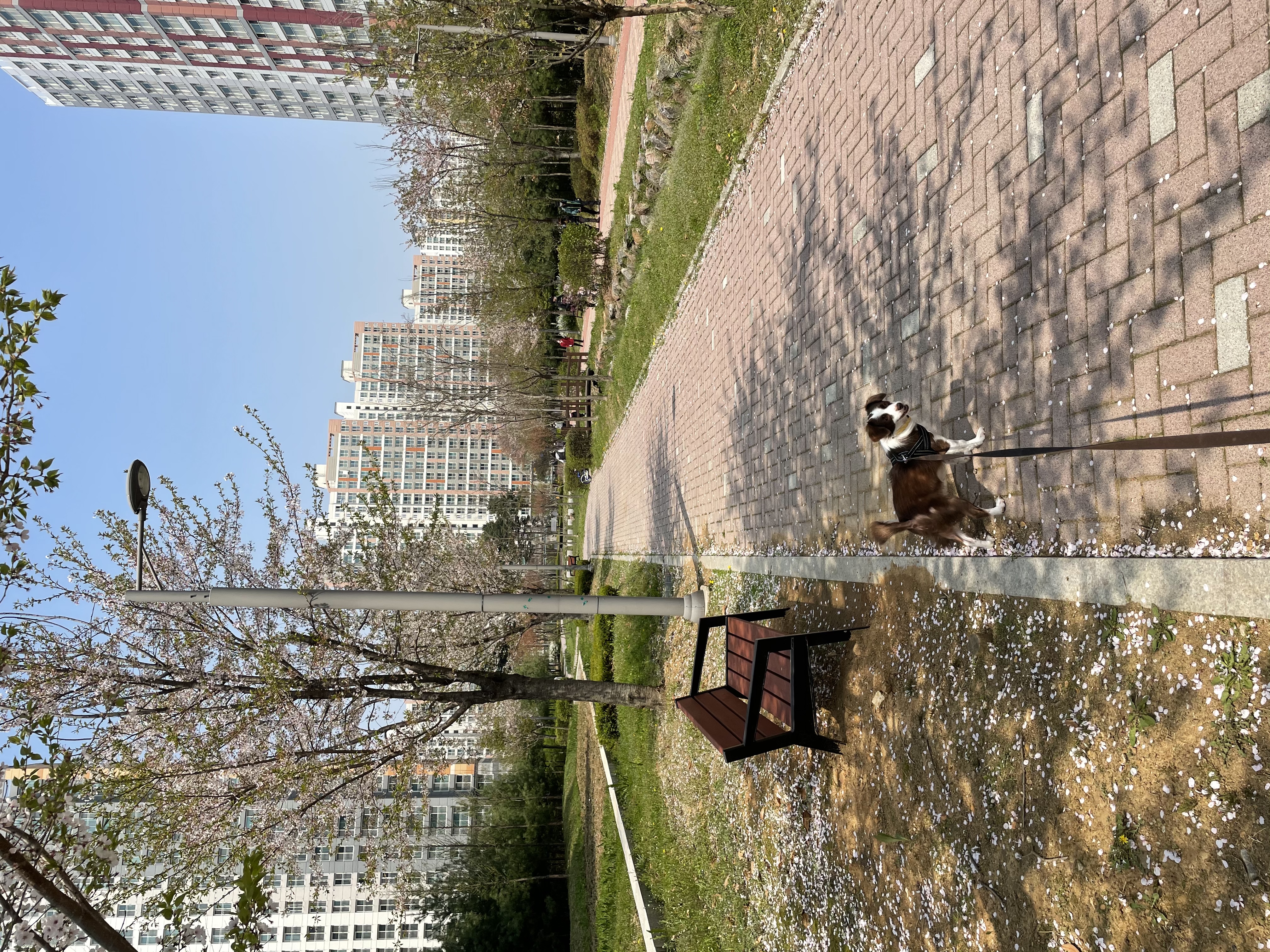 하겐이 소식 전해용