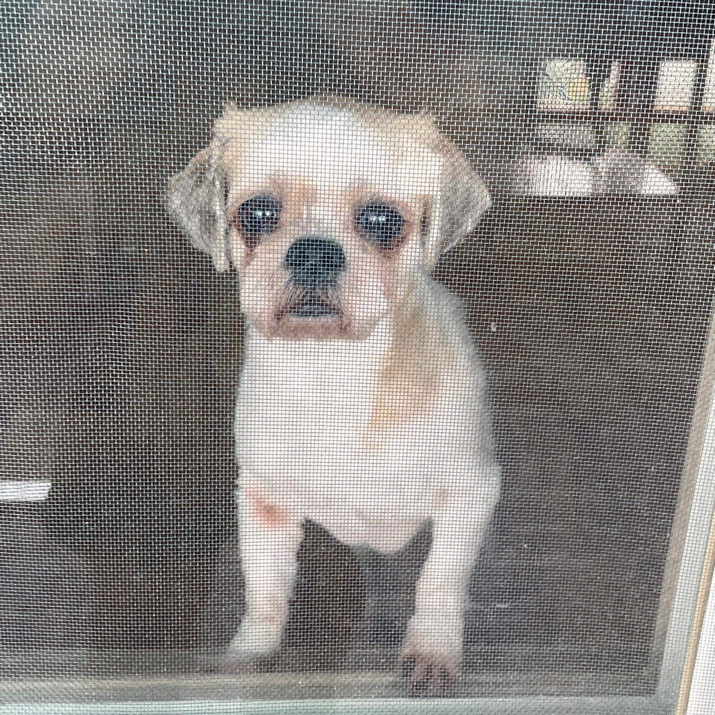 오랜만에 조아입니당~