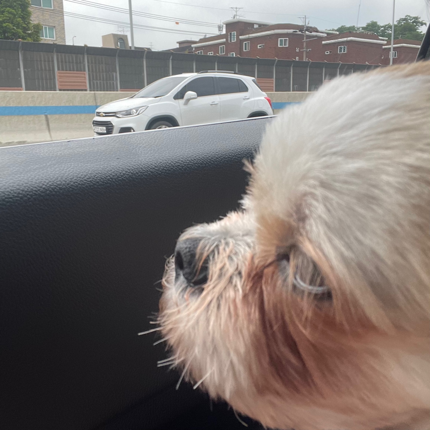 오랜만에 조아입니당~