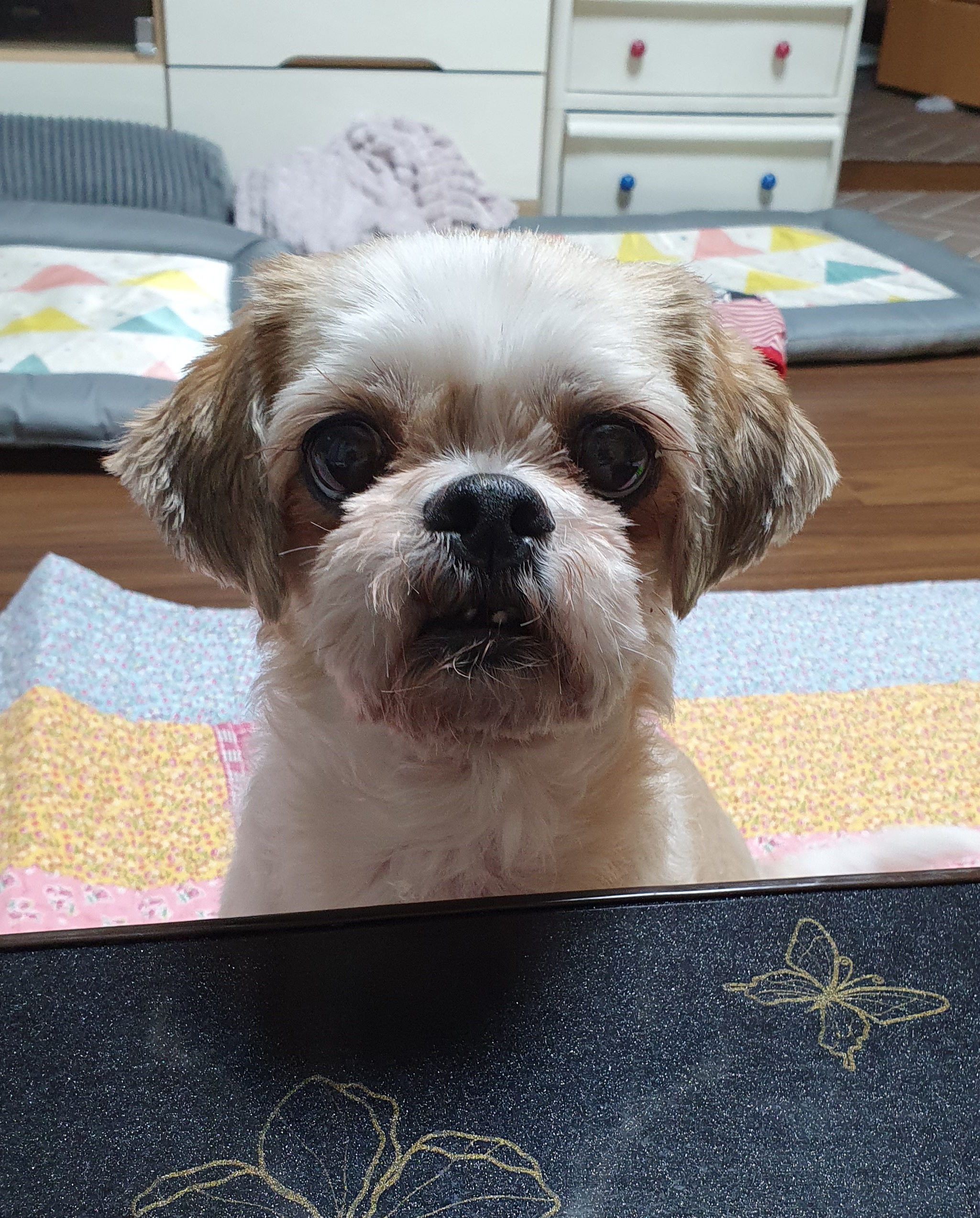 오랜만에 조아입니당~