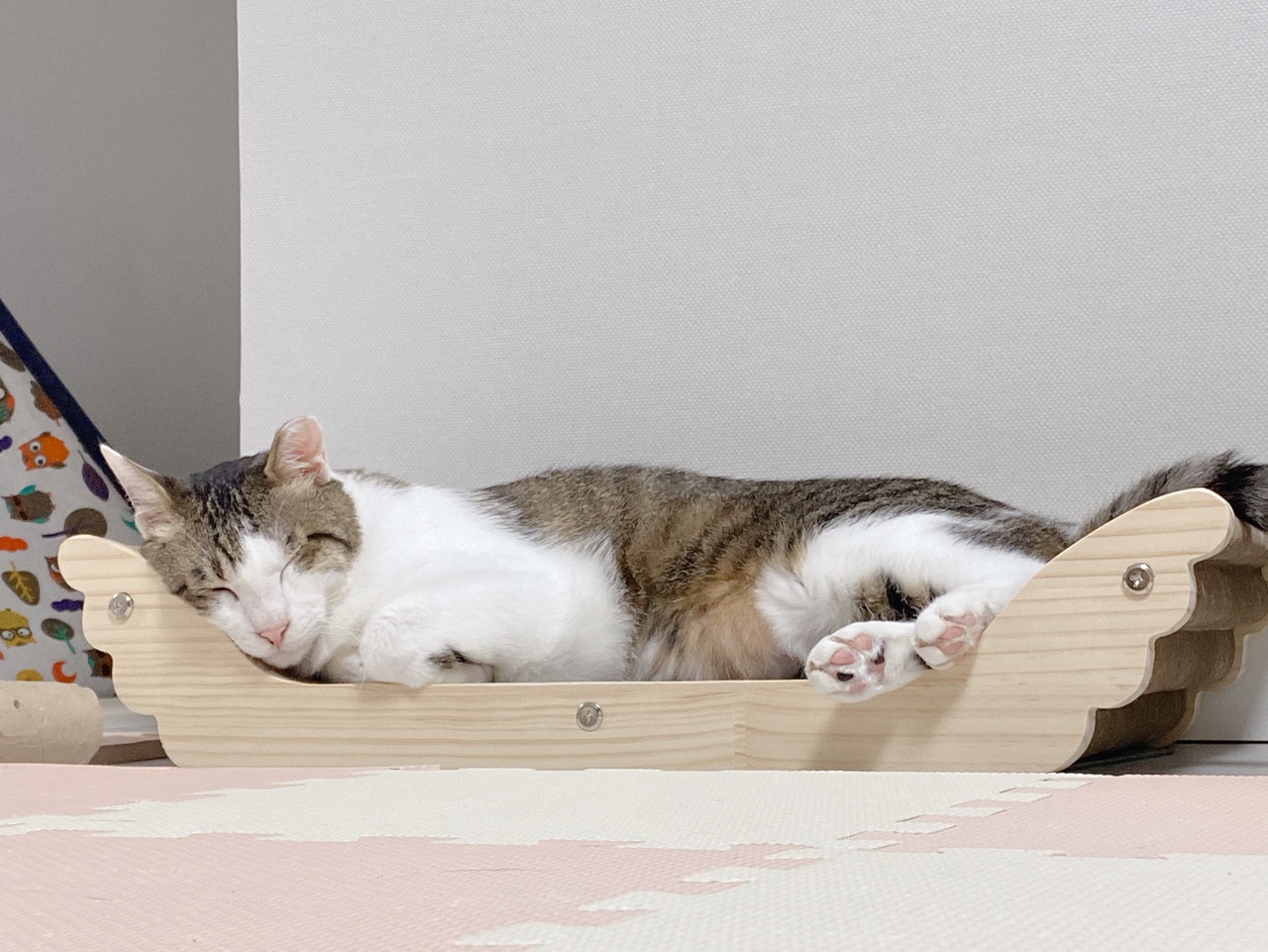 아띠가 넘 귀여워서 올려요~^^