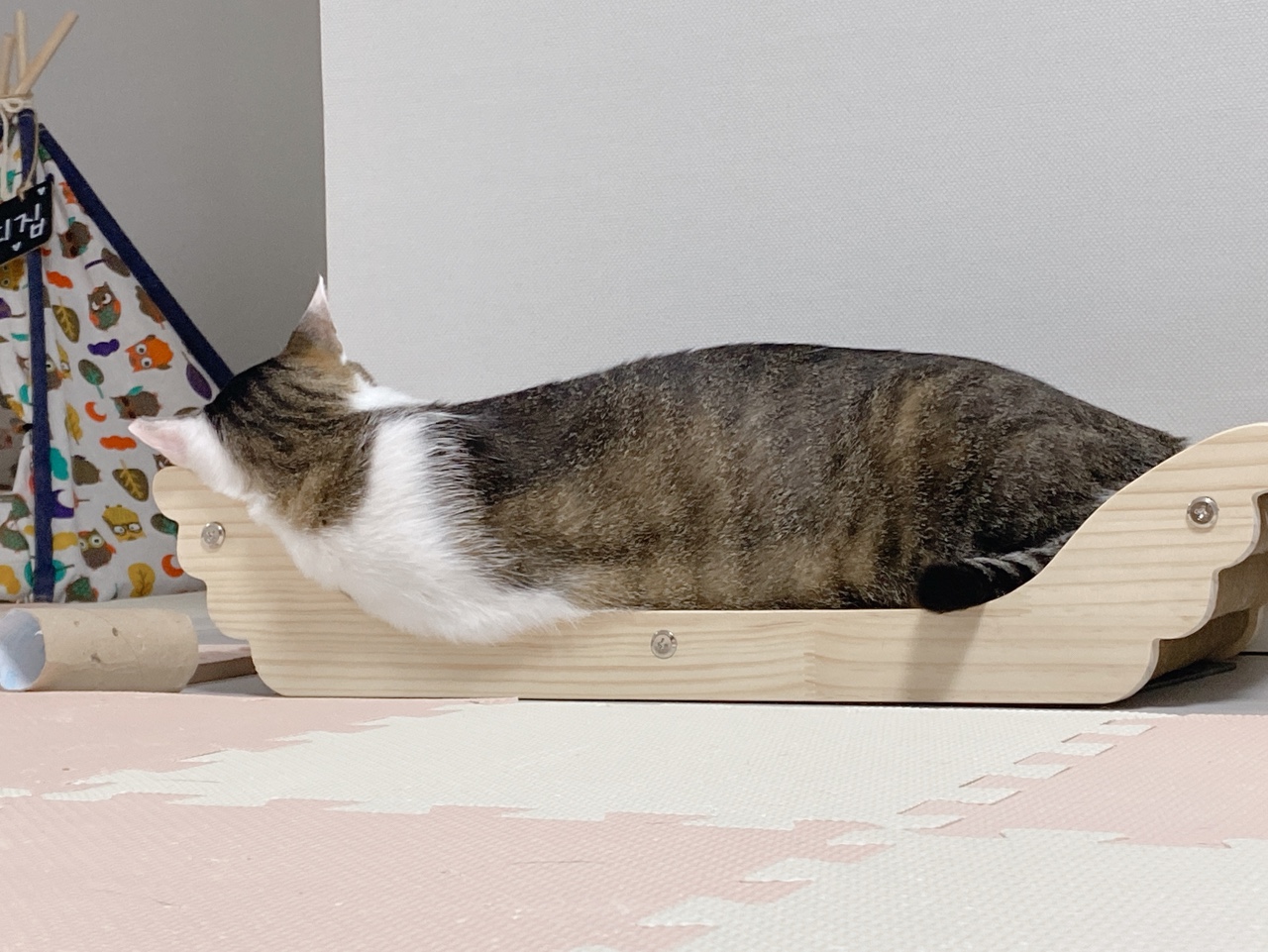 아띠가 넘 귀여워서 올려요~^^