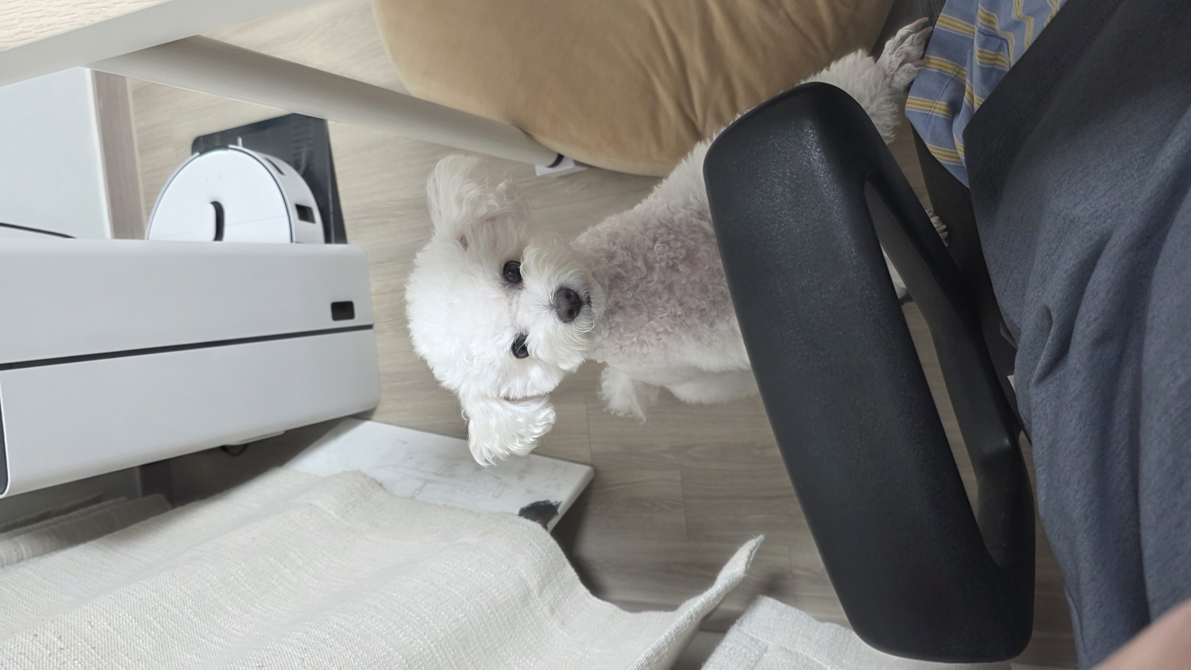 열무(구 아솜이)의 2년 3개월차 이야기