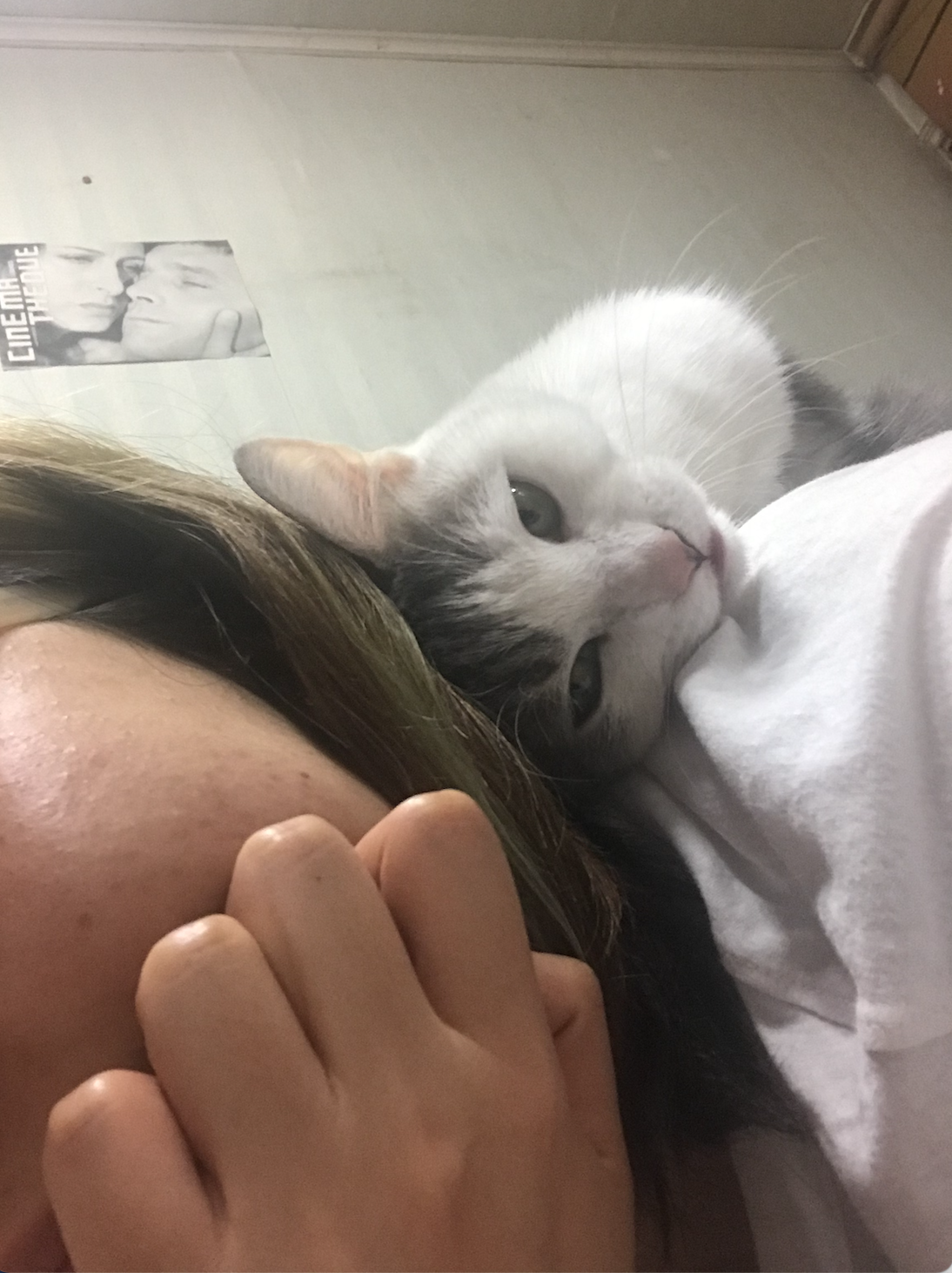 2019년 4월 이후 입양 2년 차 맞은 방울이 소식 (일산 구조)