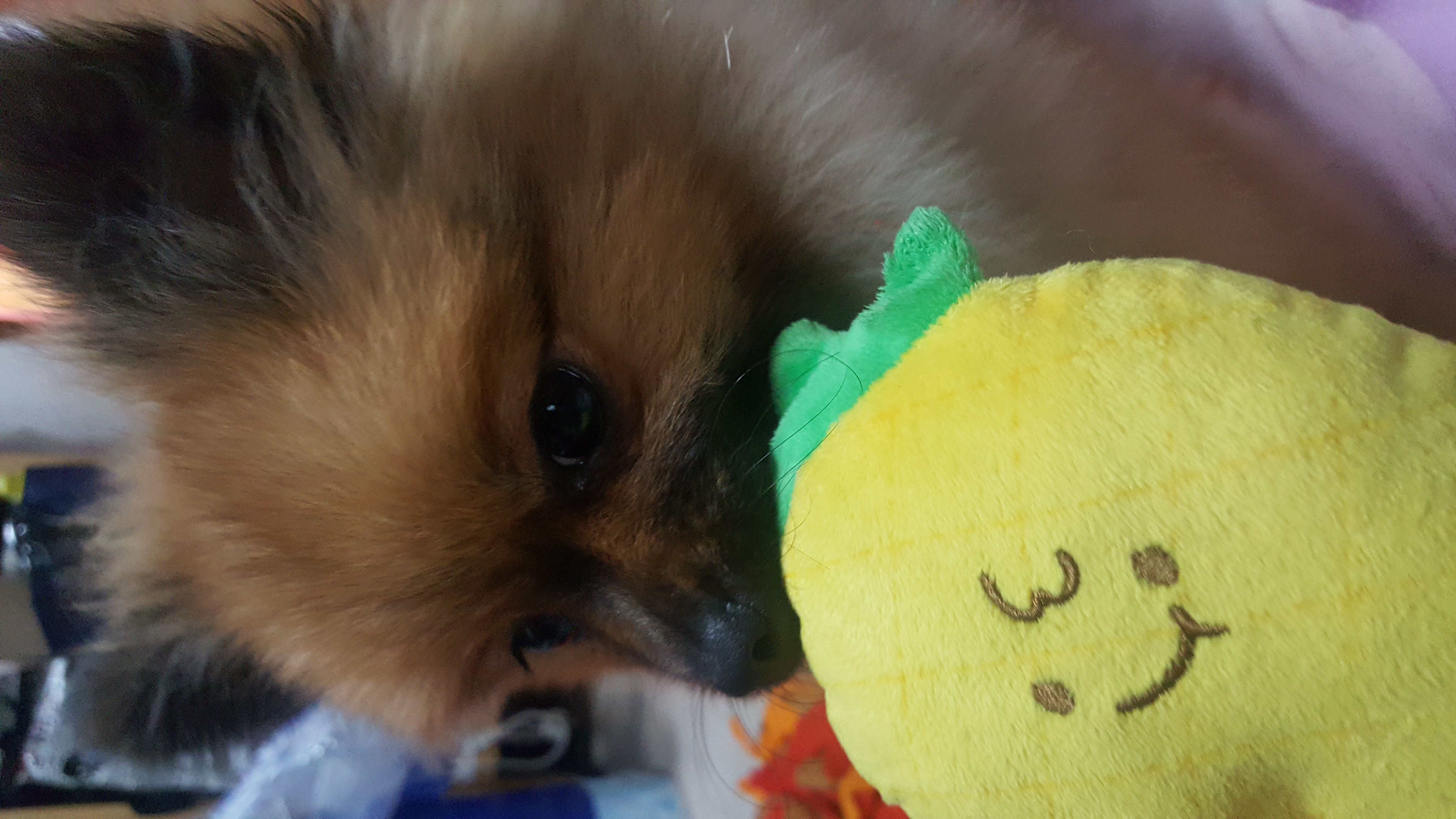 러비 한달됐어요♡