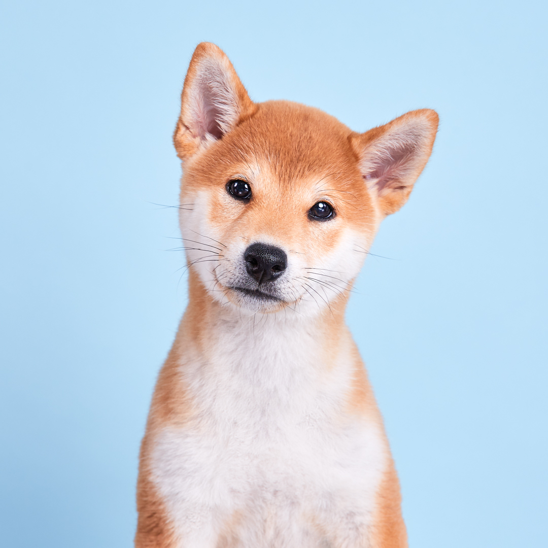 곤지암 세시 3달 ❤