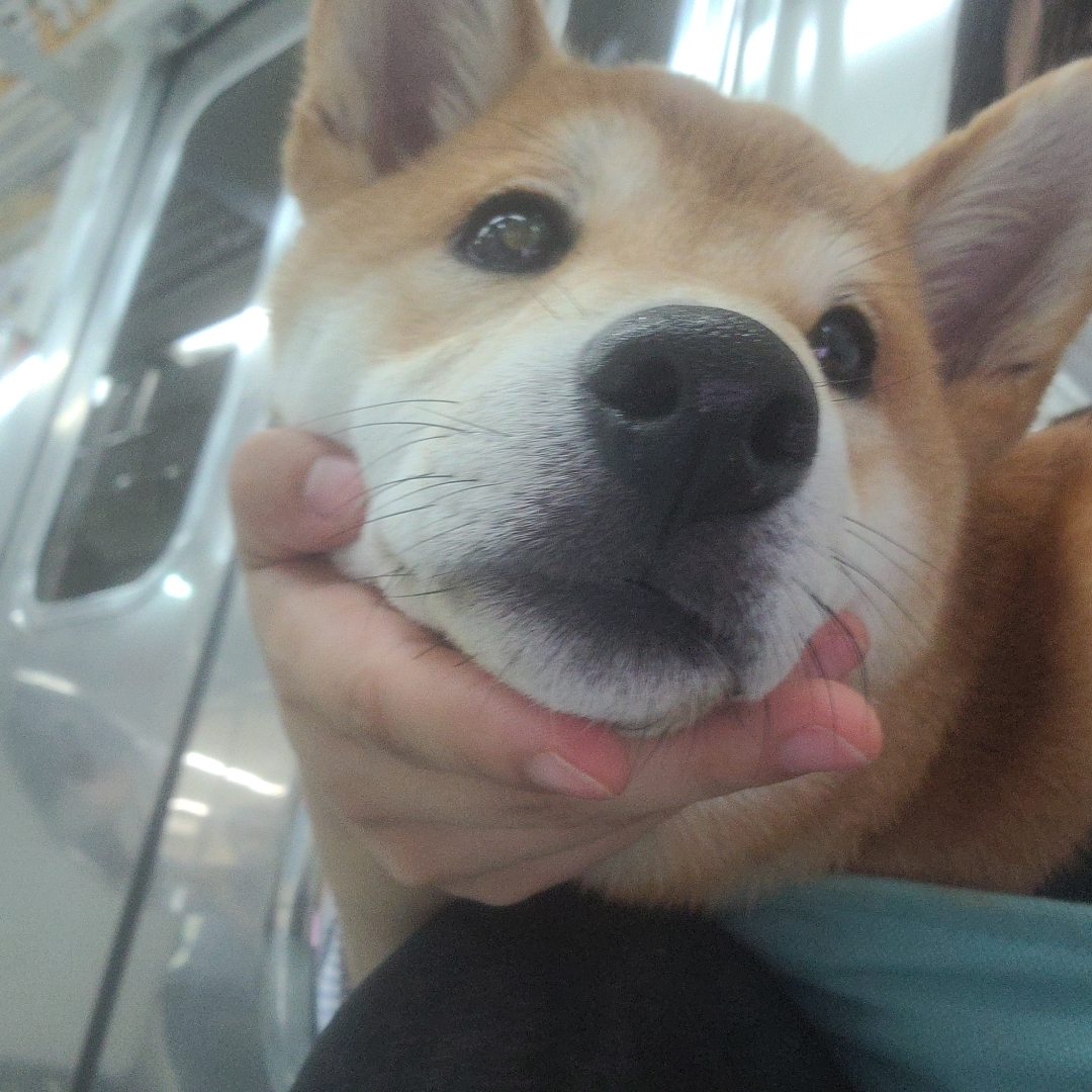 곤지암 세시 3달 ❤