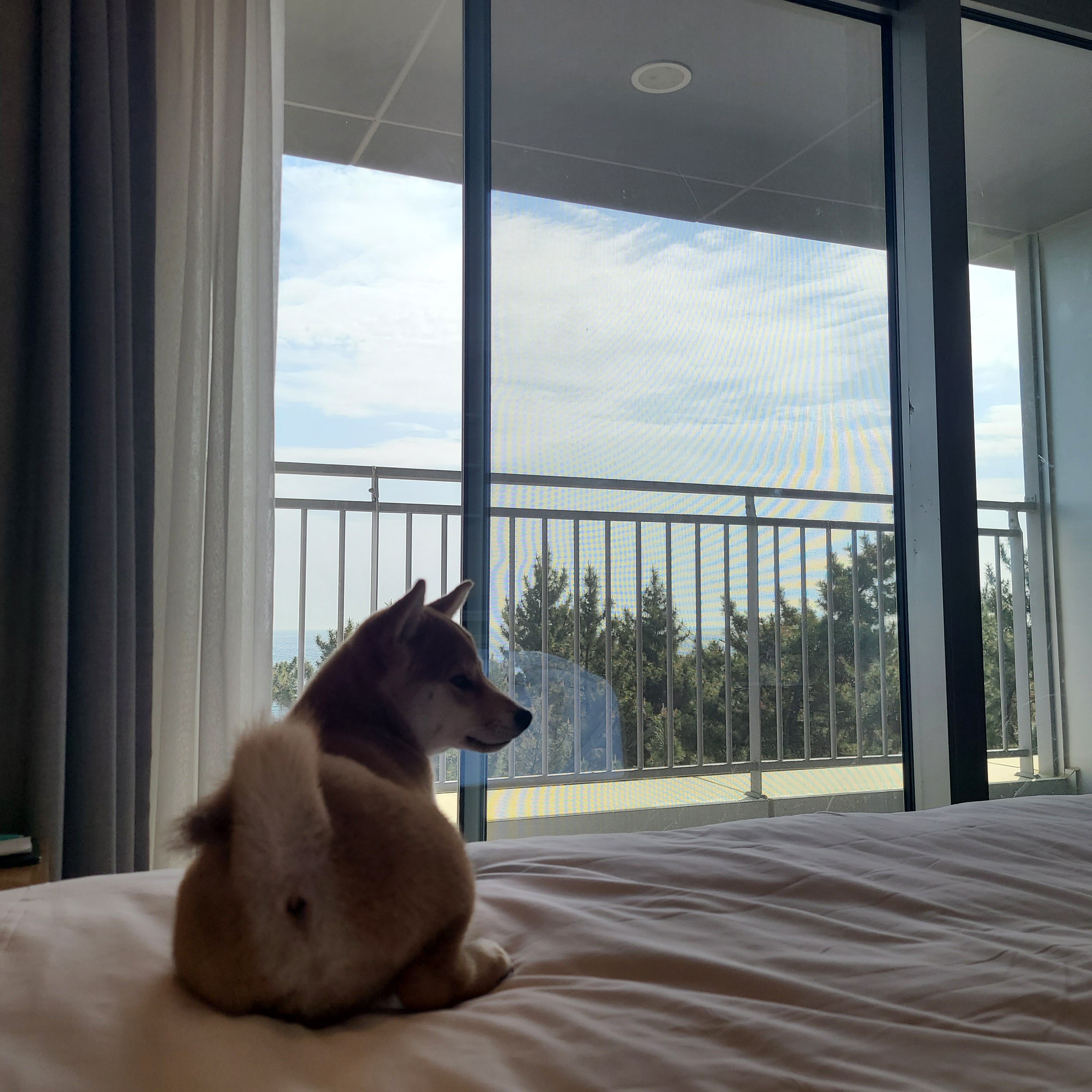 곤지암 세시 3달 ❤