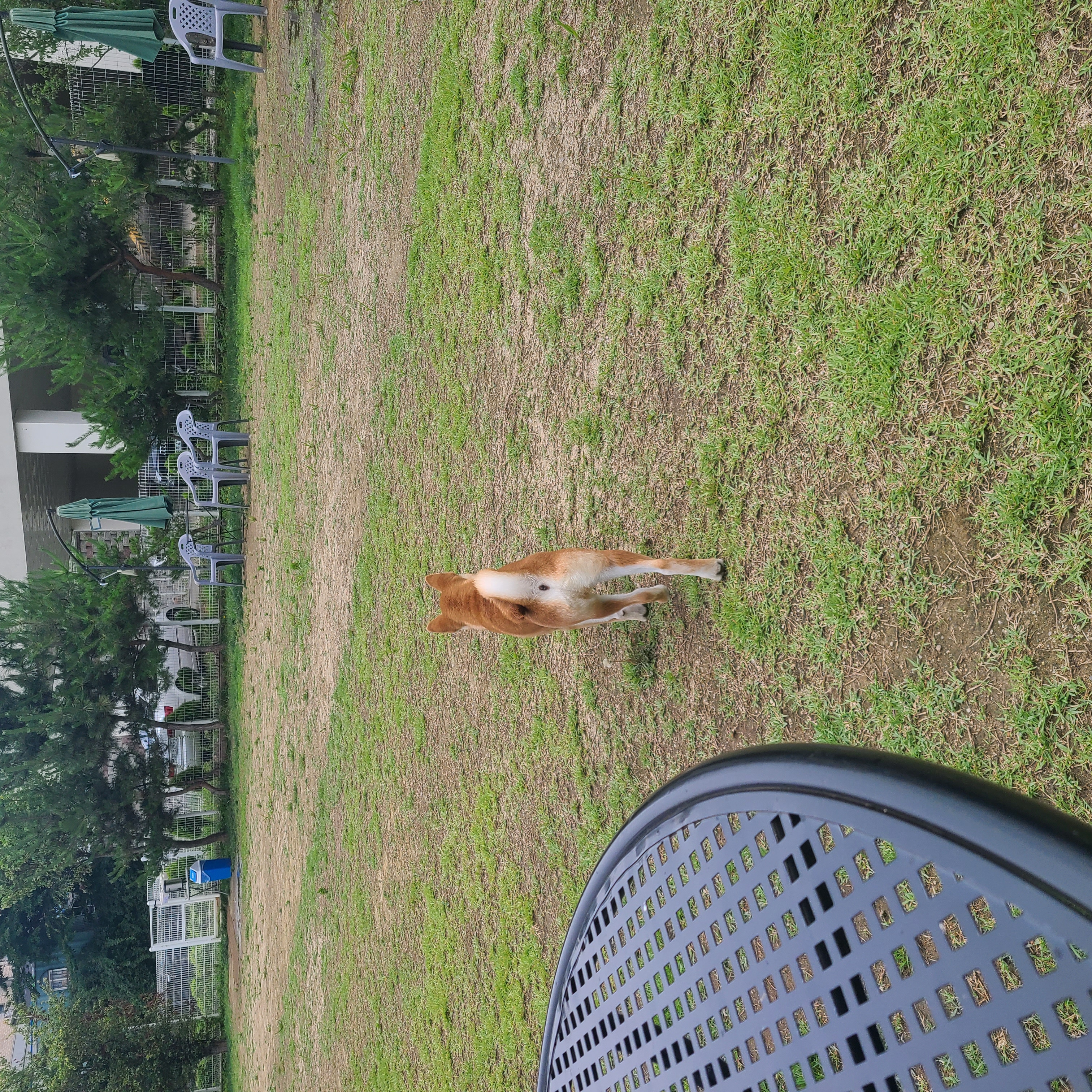 곤지암 세시 3달 ❤