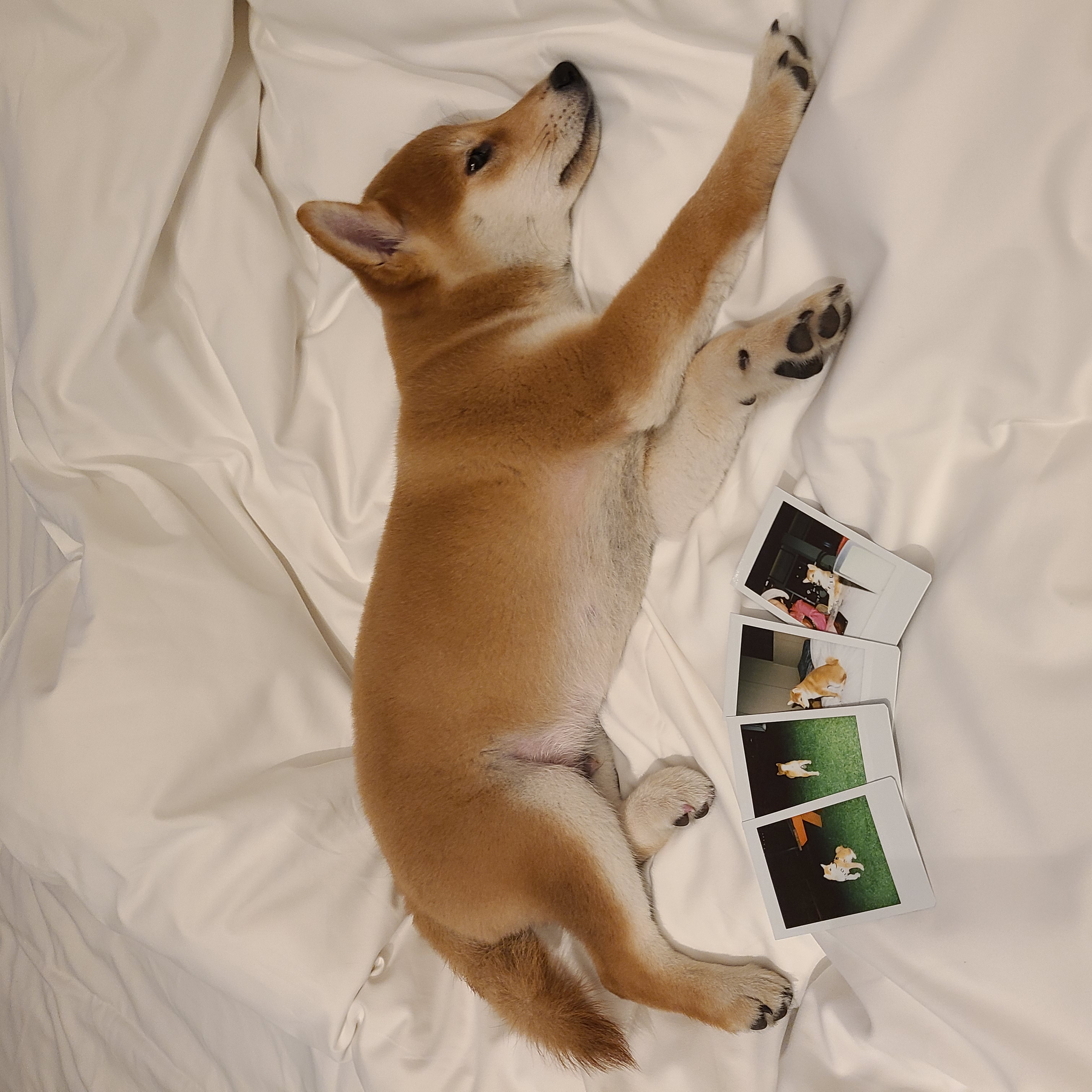 곤지암 세시 3달 ❤