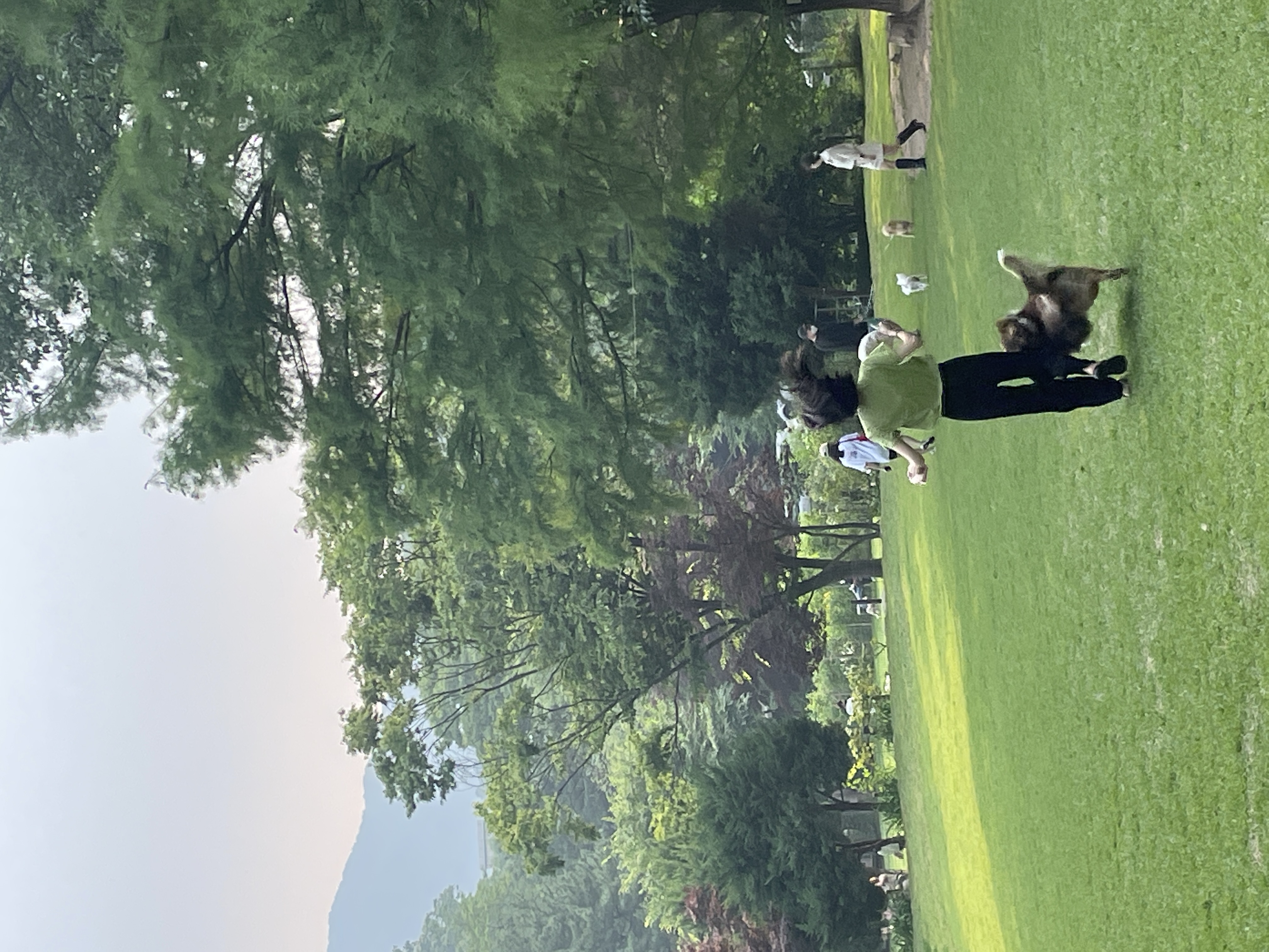 몽구의 입양 3달차 이야기