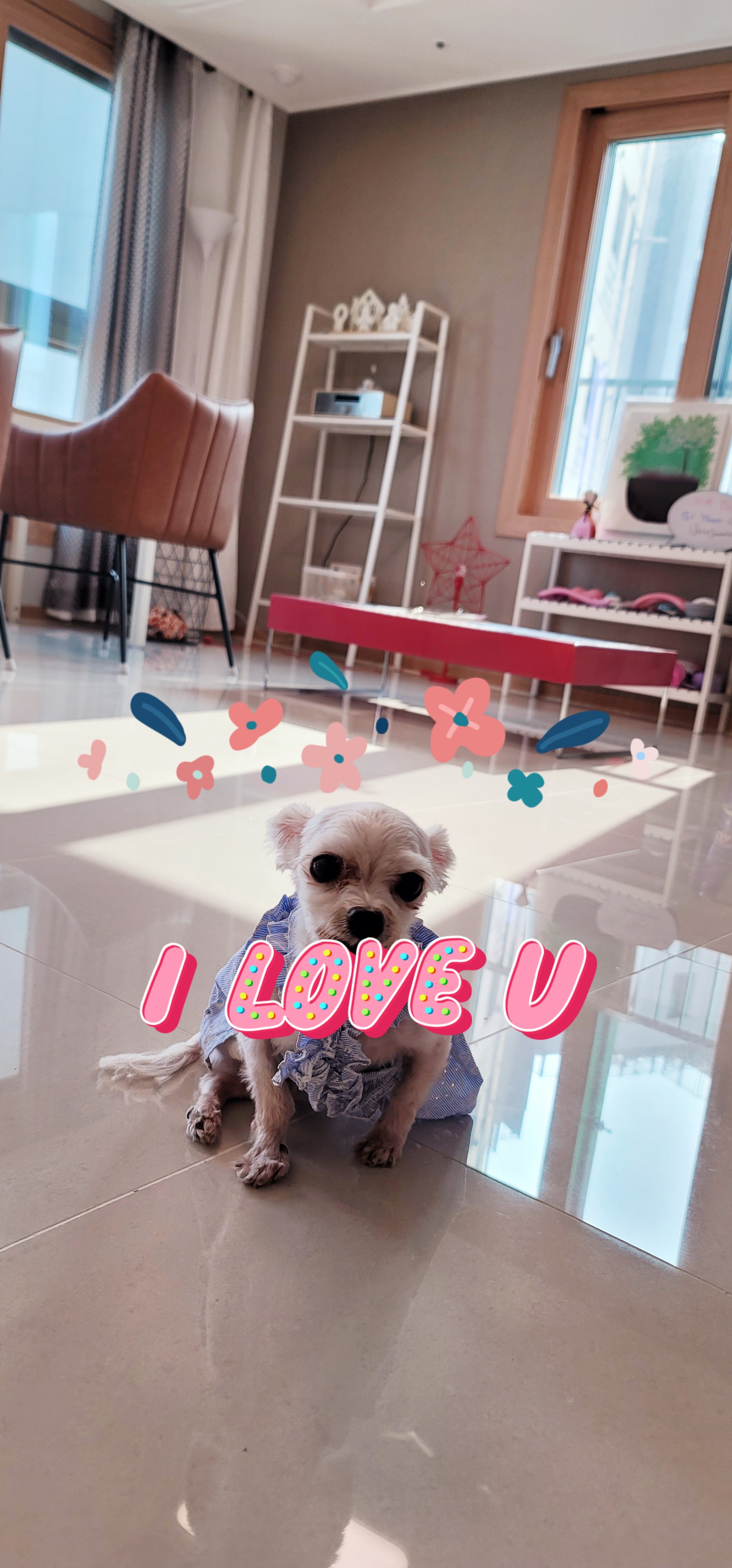 봄이(연두,벌벌이)