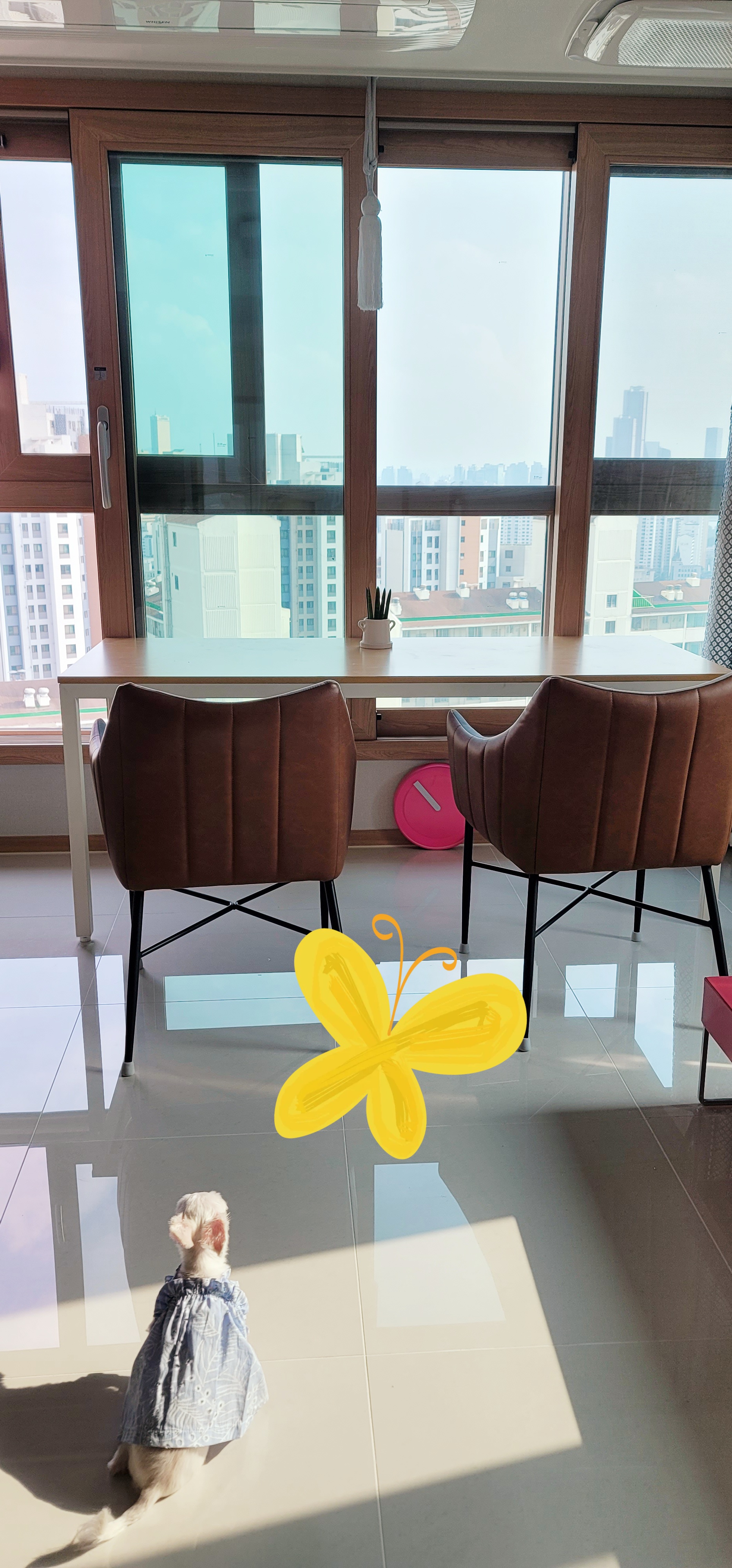 봄이(연두,벌벌이)