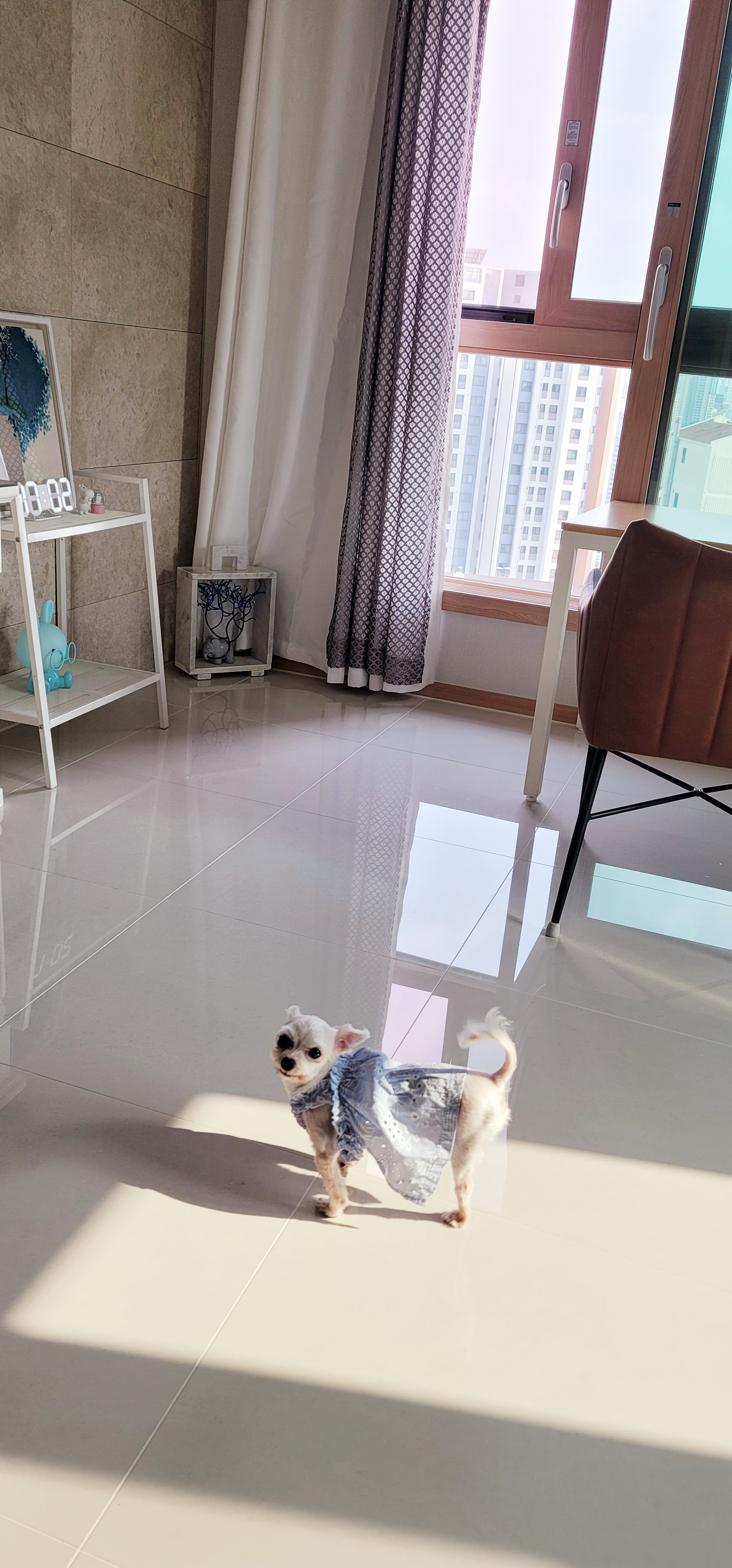 봄이(연두,벌벌이)