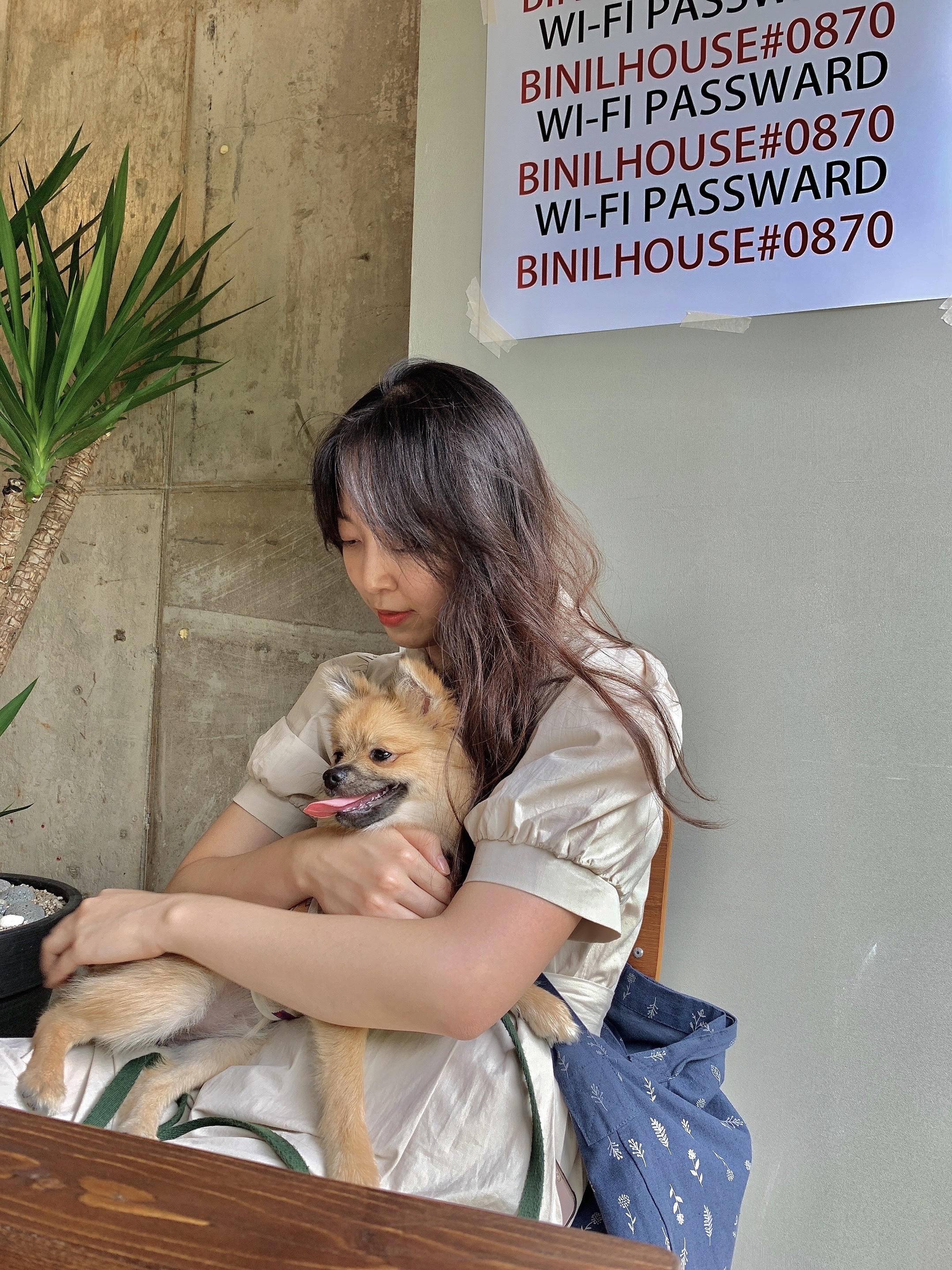 동자연-송일(짜장이) 입양 후 3개월 이야기