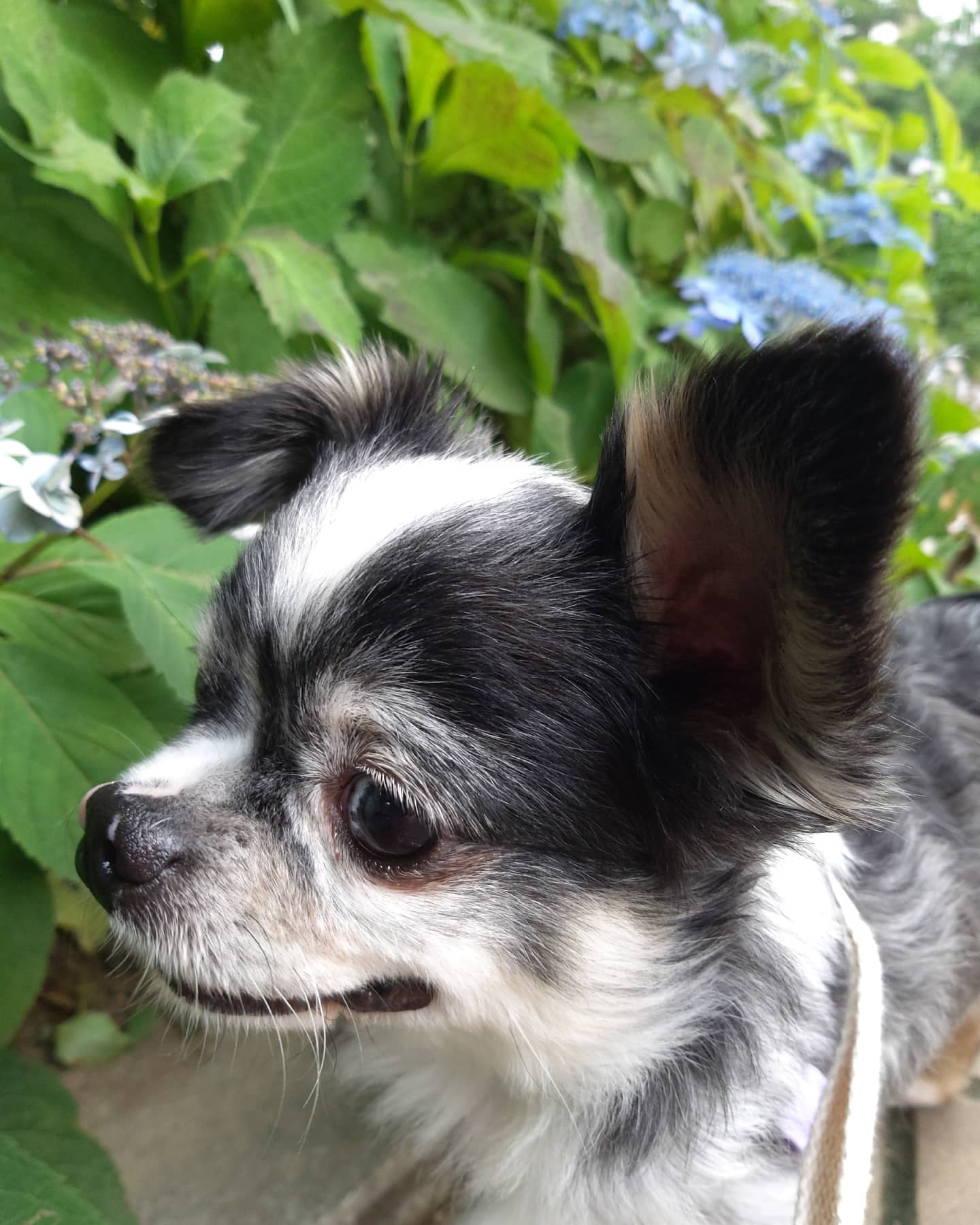 별(깜치) 소식 전해드려요