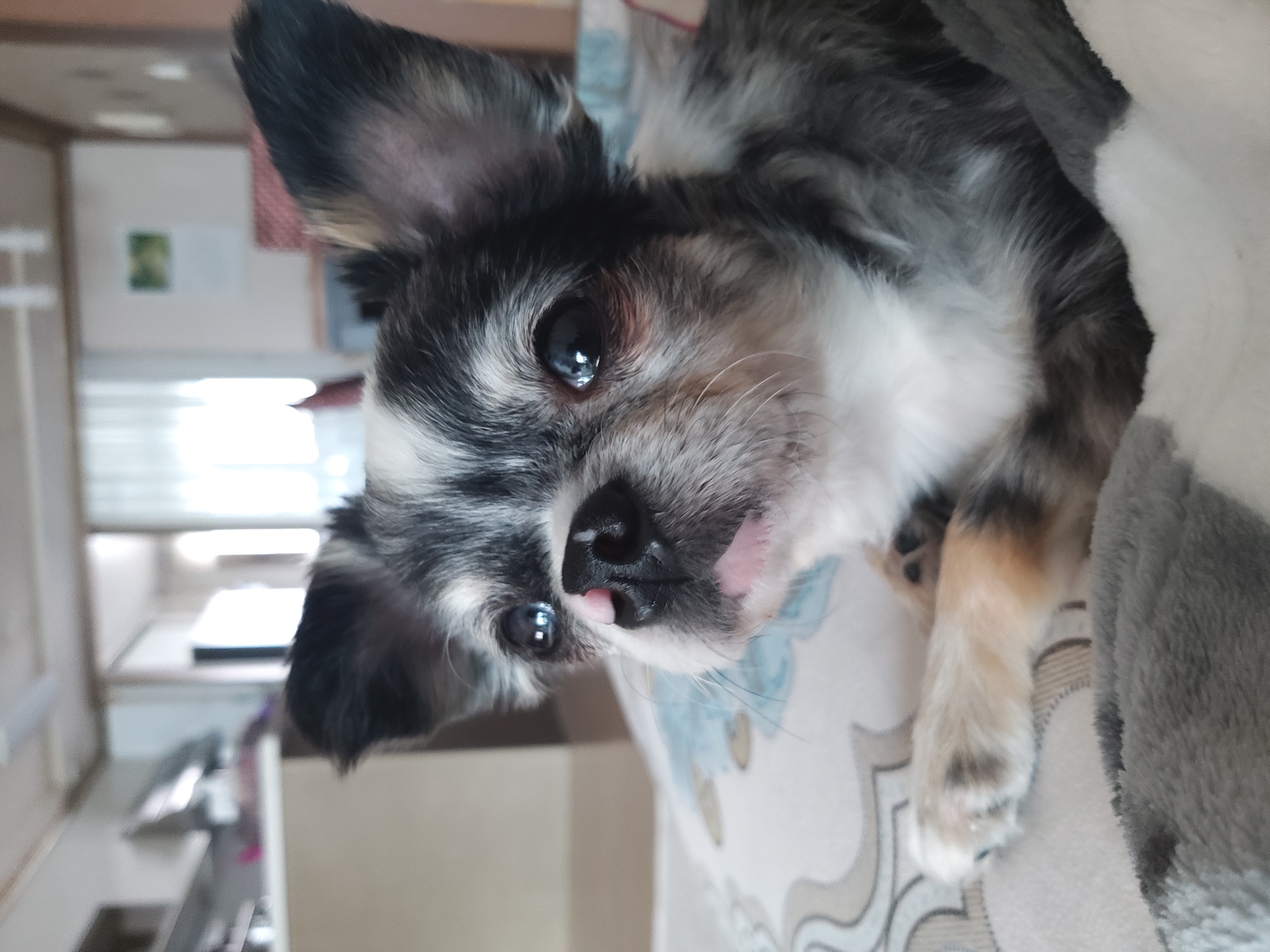 별(깜치) 소식 전해드려요