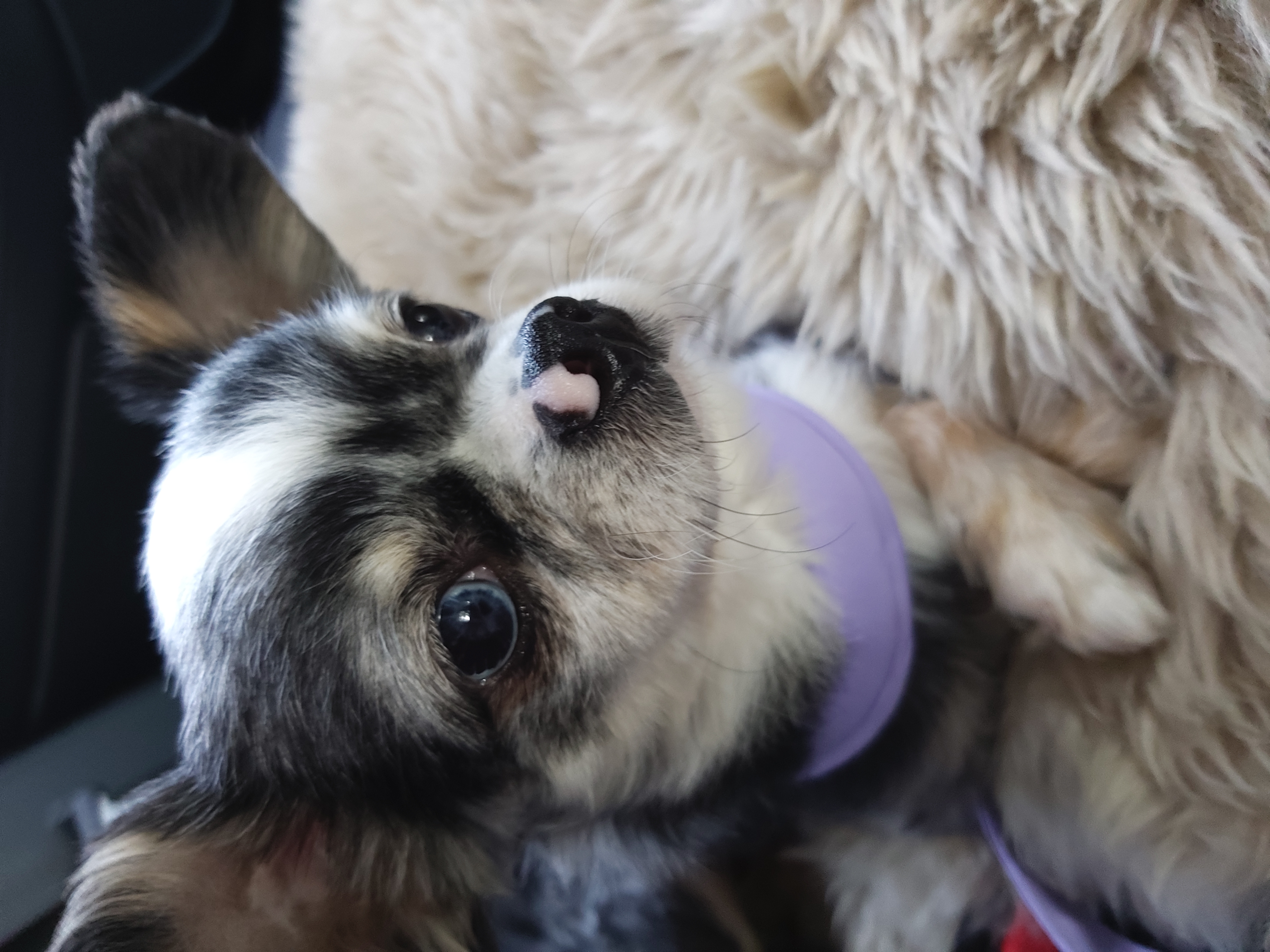 별(깜치) 소식 전해드려요